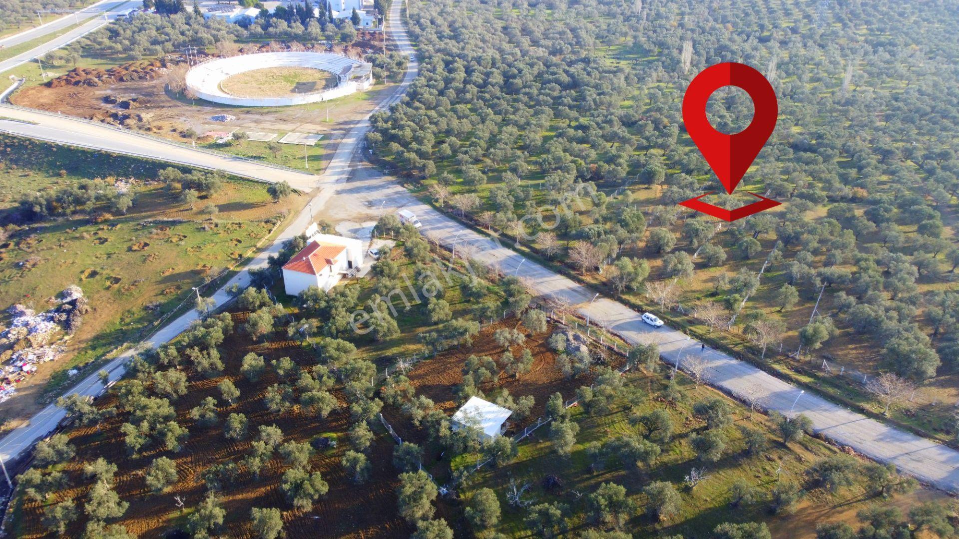 Mera Emlaktan Tuzcumurat Mh Üniversite Yanı 726 M2 İmarlı Arsa - Görsel 3