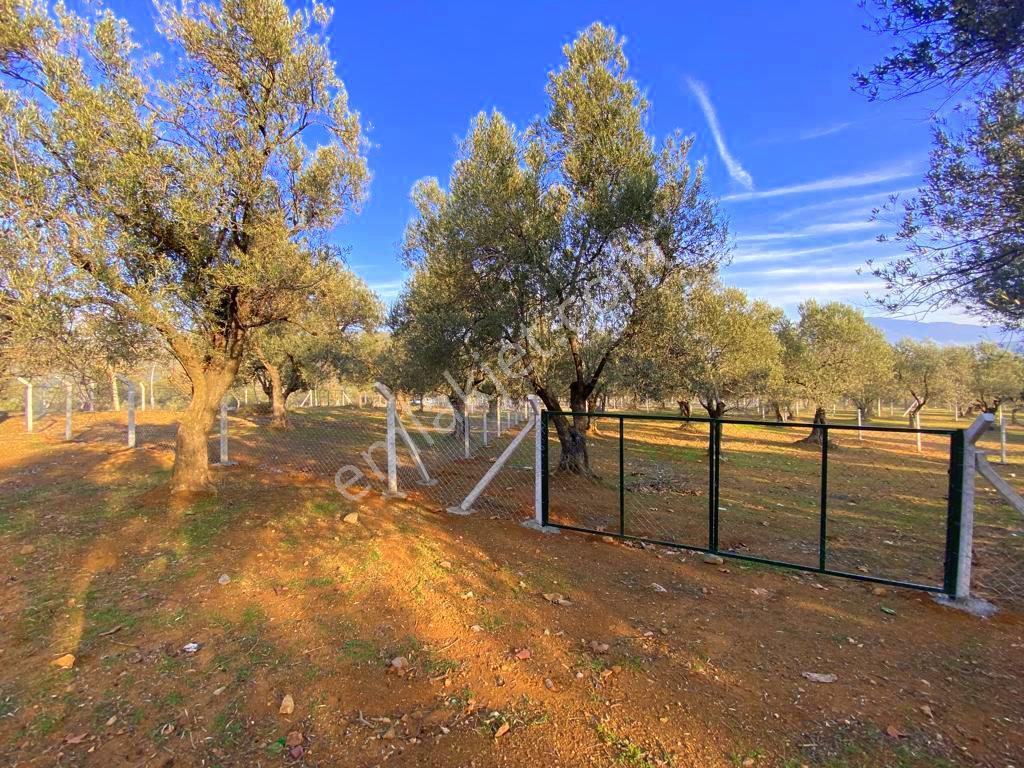 Mera Emlaktan Tuzcumurat Mh Üniversite Yanı 726 M2 İmarlı Arsa - Görsel 6