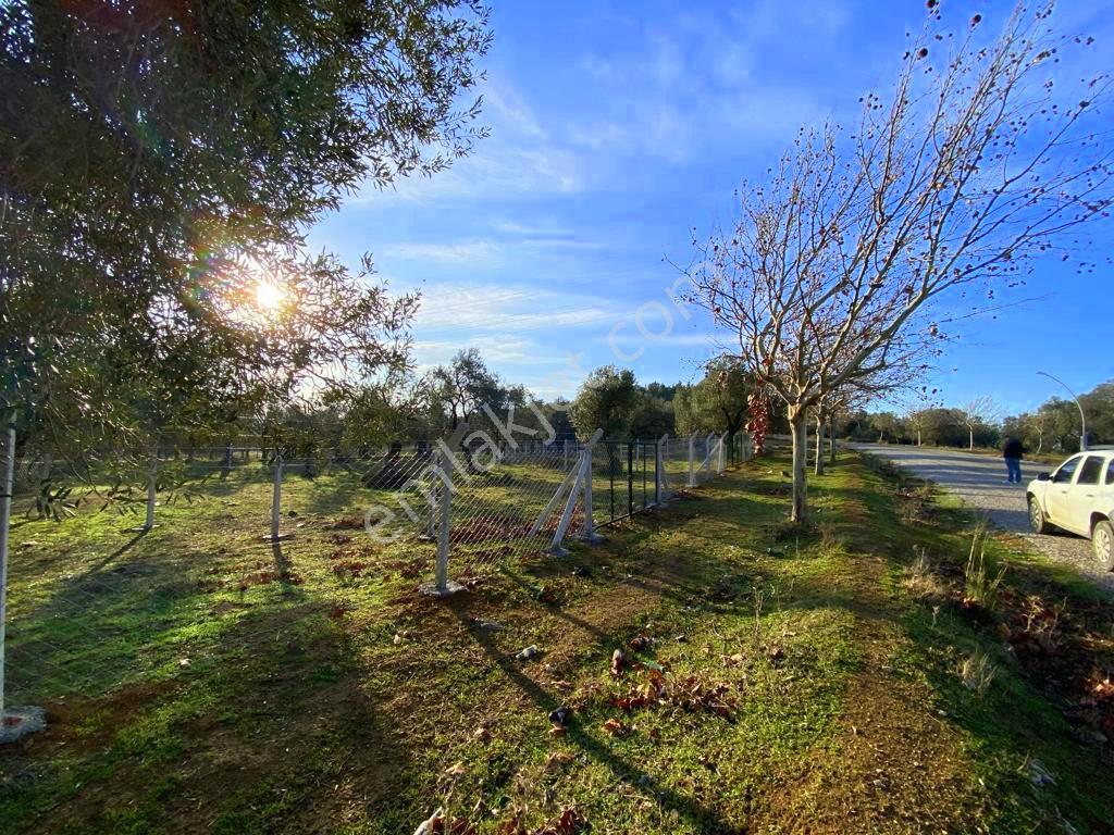 Mera Emlaktan Tuzcumurat Mh Üniversite Yanı 726 M2 İmarlı Arsa - Görsel 21
