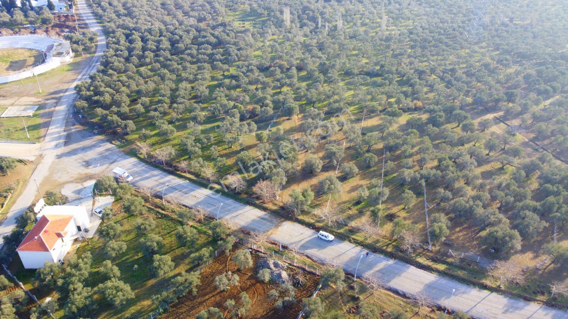 Mera Emlaktan Tuzcumurat Mh Üniversite Yanı 726 M2 İmarlı Arsa - Görsel 18