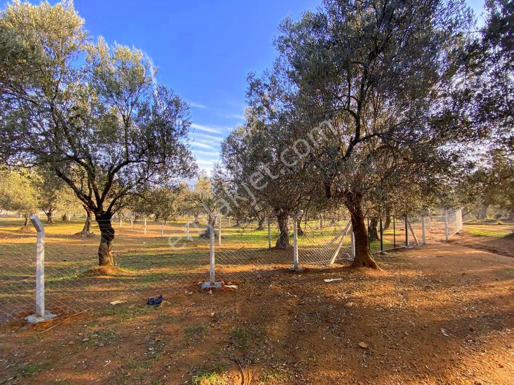 Mera Emlaktan Tuzcumurat Mh Üniversite Yanı 726 M2 İmarlı Arsa - Görsel 7