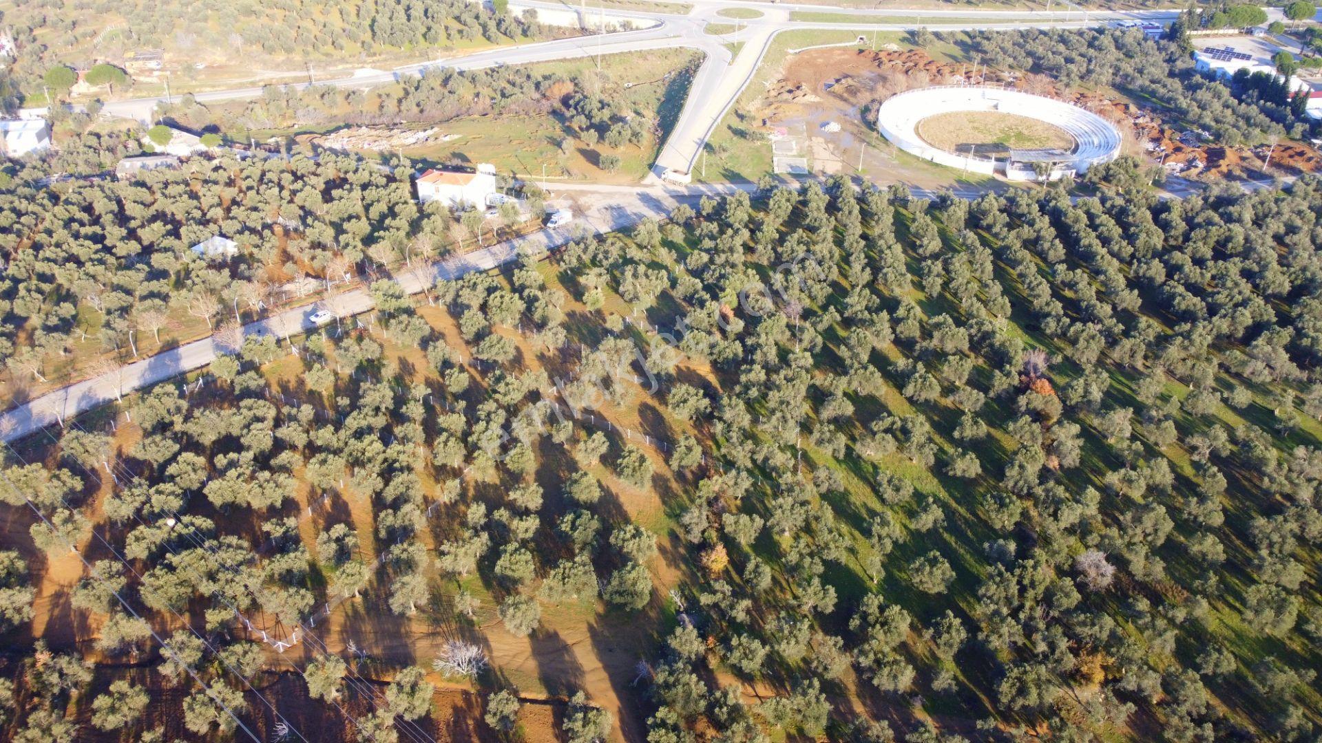 Mera Emlaktan Tuzcumurat Mh Üniversite Yanı 726 M2 İmarlı Arsa - Görsel 9