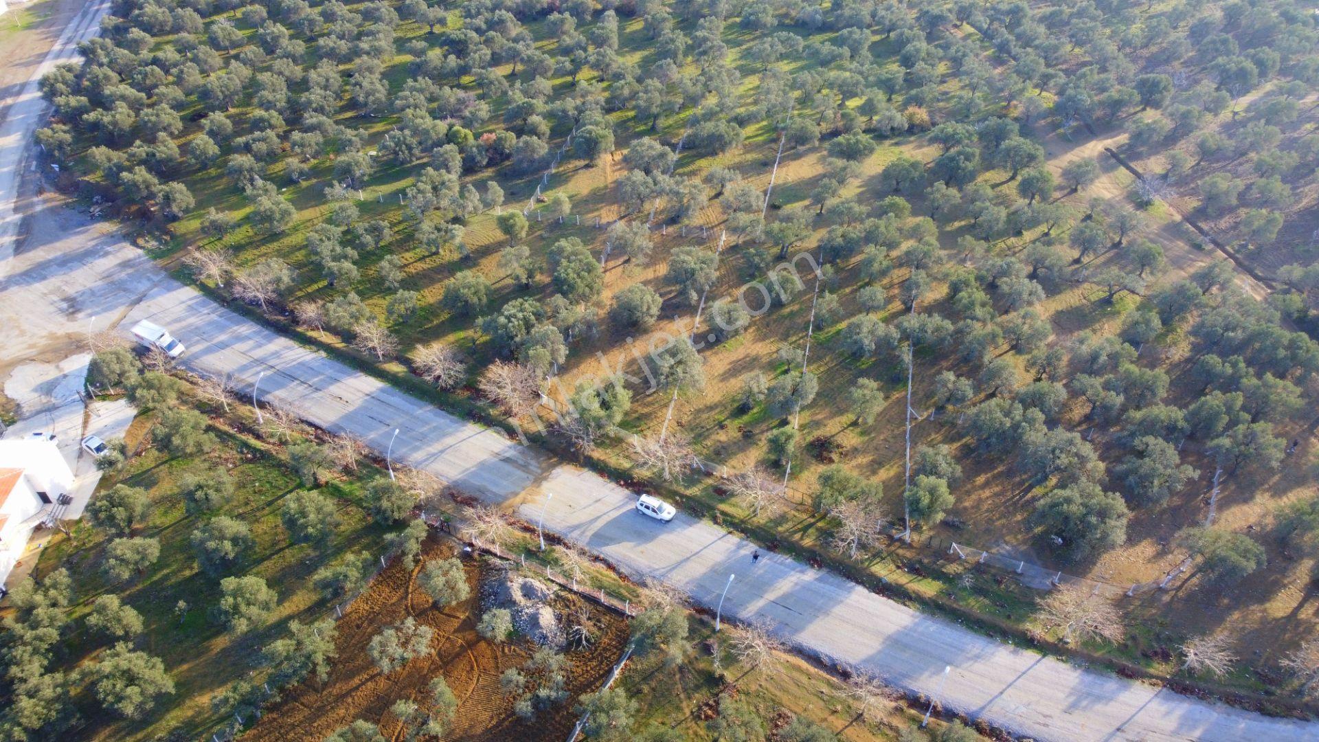 Mera Emlaktan Tuzcumurat Mh Üniversite Yanı 726 M2 İmarlı Arsa - Görsel 30