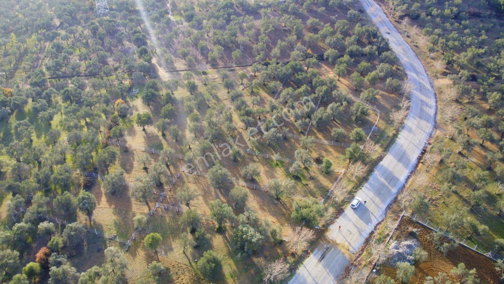Mera Emlaktan Tuzcumurat Mh Üniversite Yanı 726 M2 İmarlı Arsa - Görsel 23