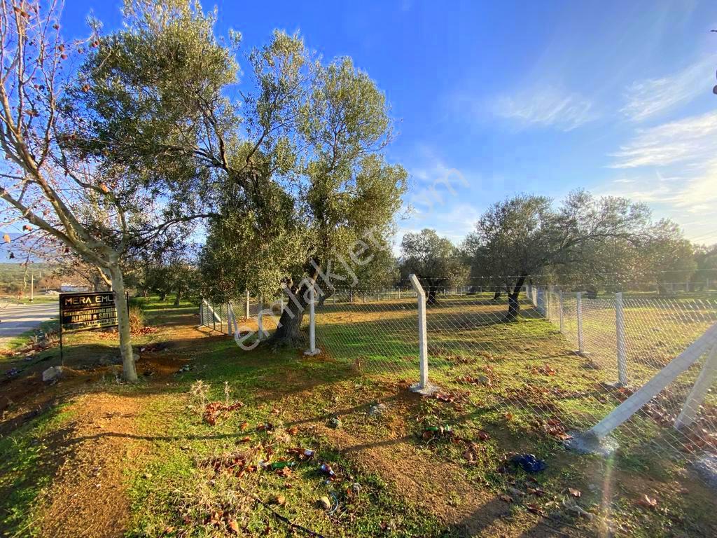 Mera Emlaktan Tuzcumurat Mh Üniversite Yanı 726 M2 İmarlı Arsa - Görsel 20
