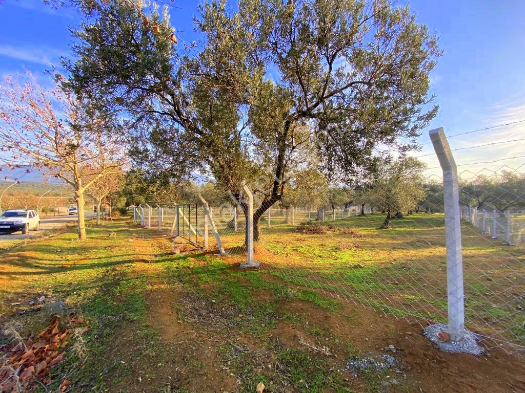 Mera Emlaktan Tuzcumurat Mh Üniversite Yanı 726 M2 İmarlı Arsa - Görsel 22