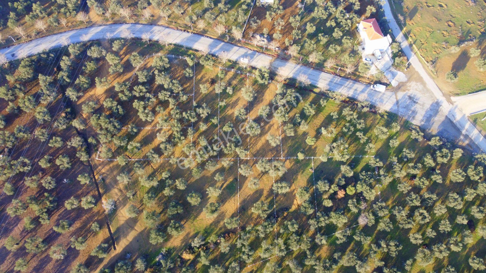 Mera Emlaktan Tuzcumurat Mh Üniversite Yanı 726 M2 İmarlı Arsa - Görsel 25