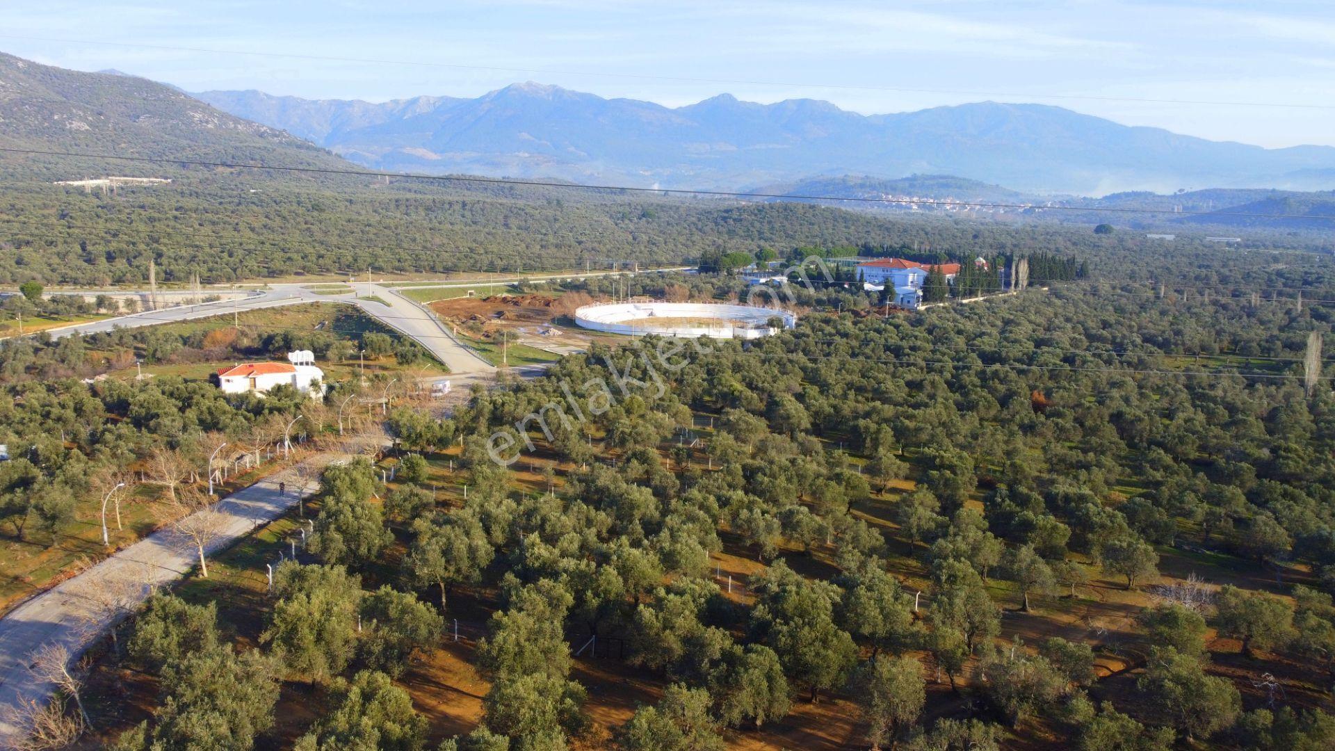Mera Emlaktan Tuzcumurat Mh Üniversite Yanı 726 M2 İmarlı Arsa - Görsel 27