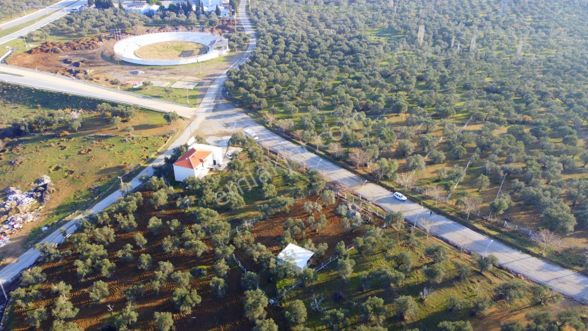 Mera Emlaktan Tuzcumurat Mh Üniversite Yanı 726 M2 İmarlı Arsa - Görsel 29
