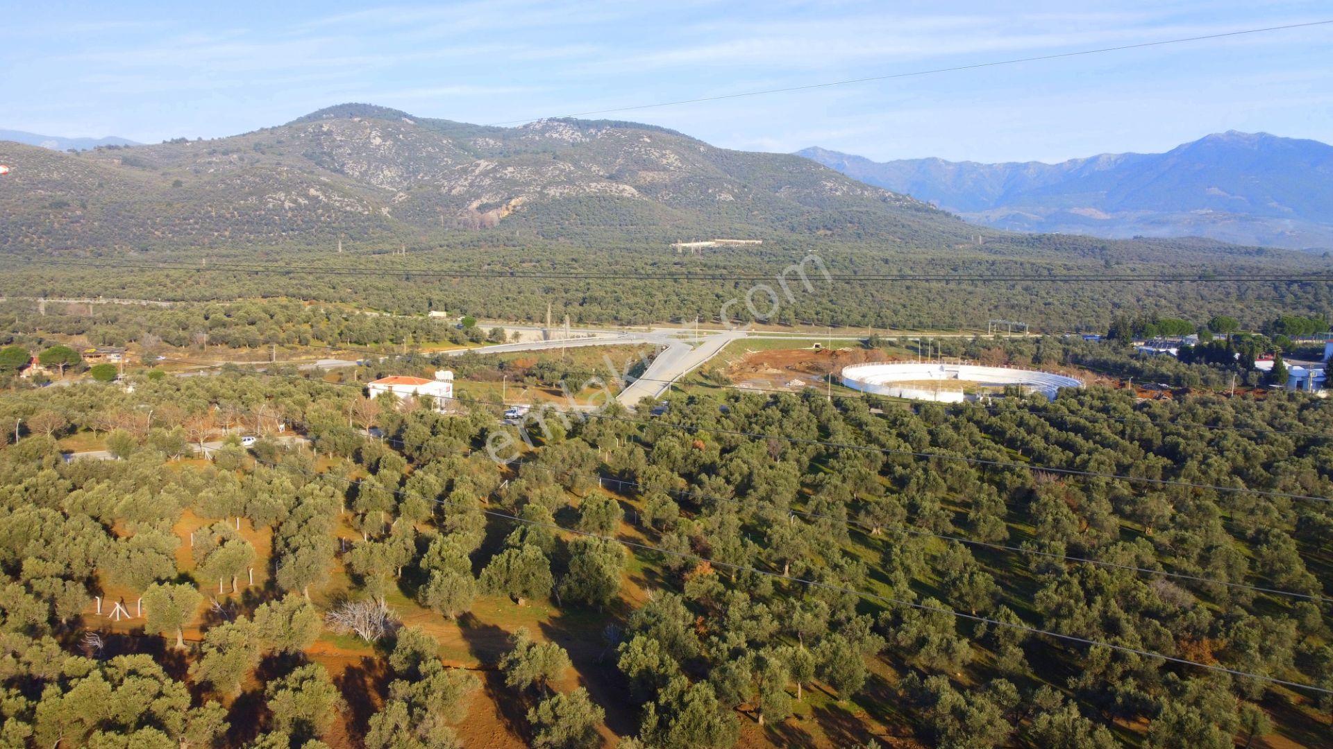 Mera Emlaktan Tuzcumurat Mh Üniversite Yanı 726 M2 İmarlı Arsa - Görsel 13