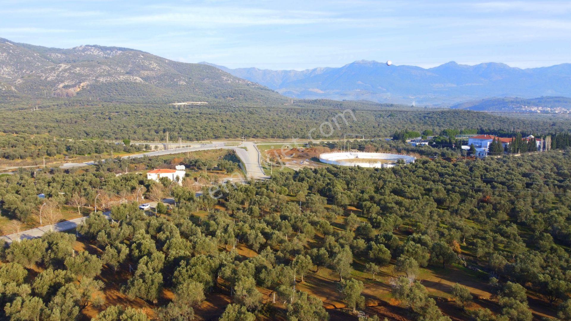 Mera Emlaktan Tuzcumurat Mh Üniversite Yanı 726 M2 İmarlı Arsa - Görsel 26