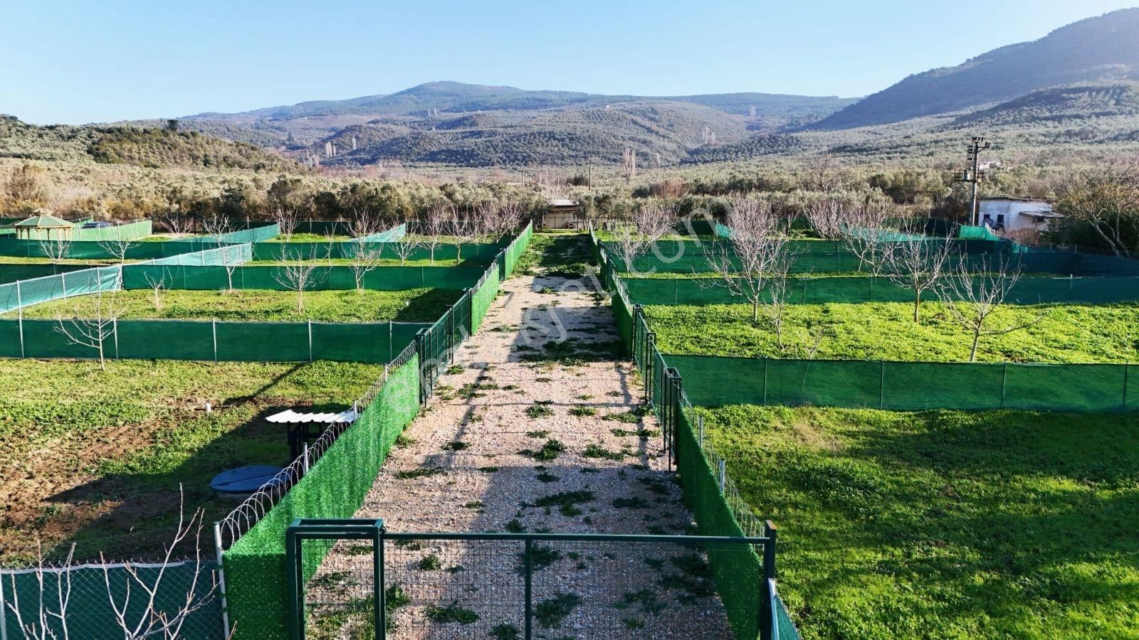 Mudanya Trilye De Satılık Bahçeler - Görsel 14