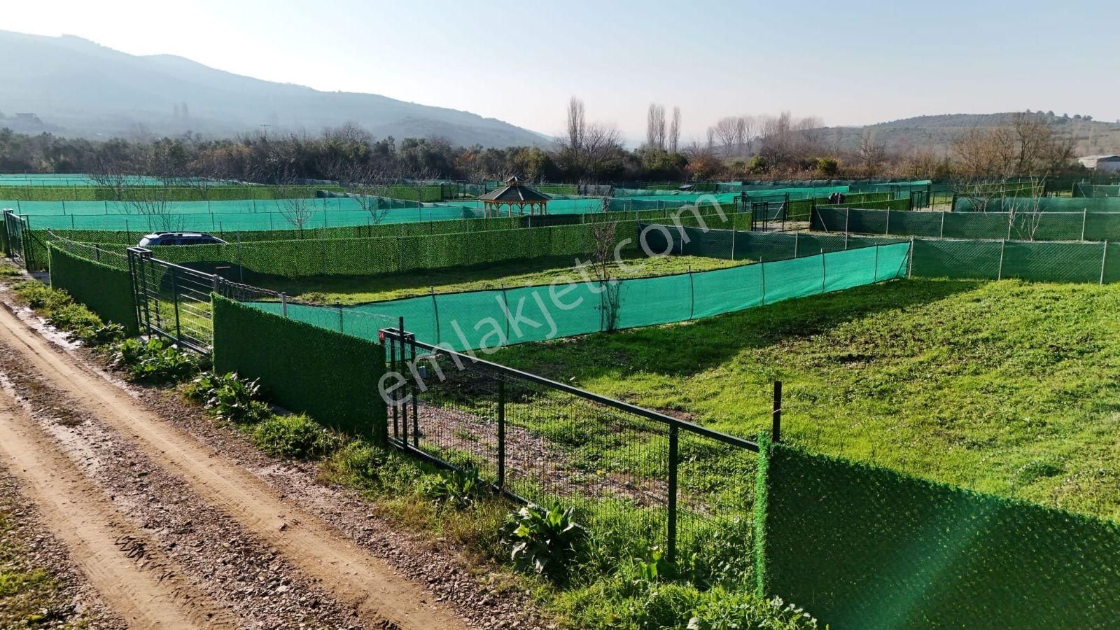 Mudanya Trilye De Satılık Bahçeler - Görsel 9