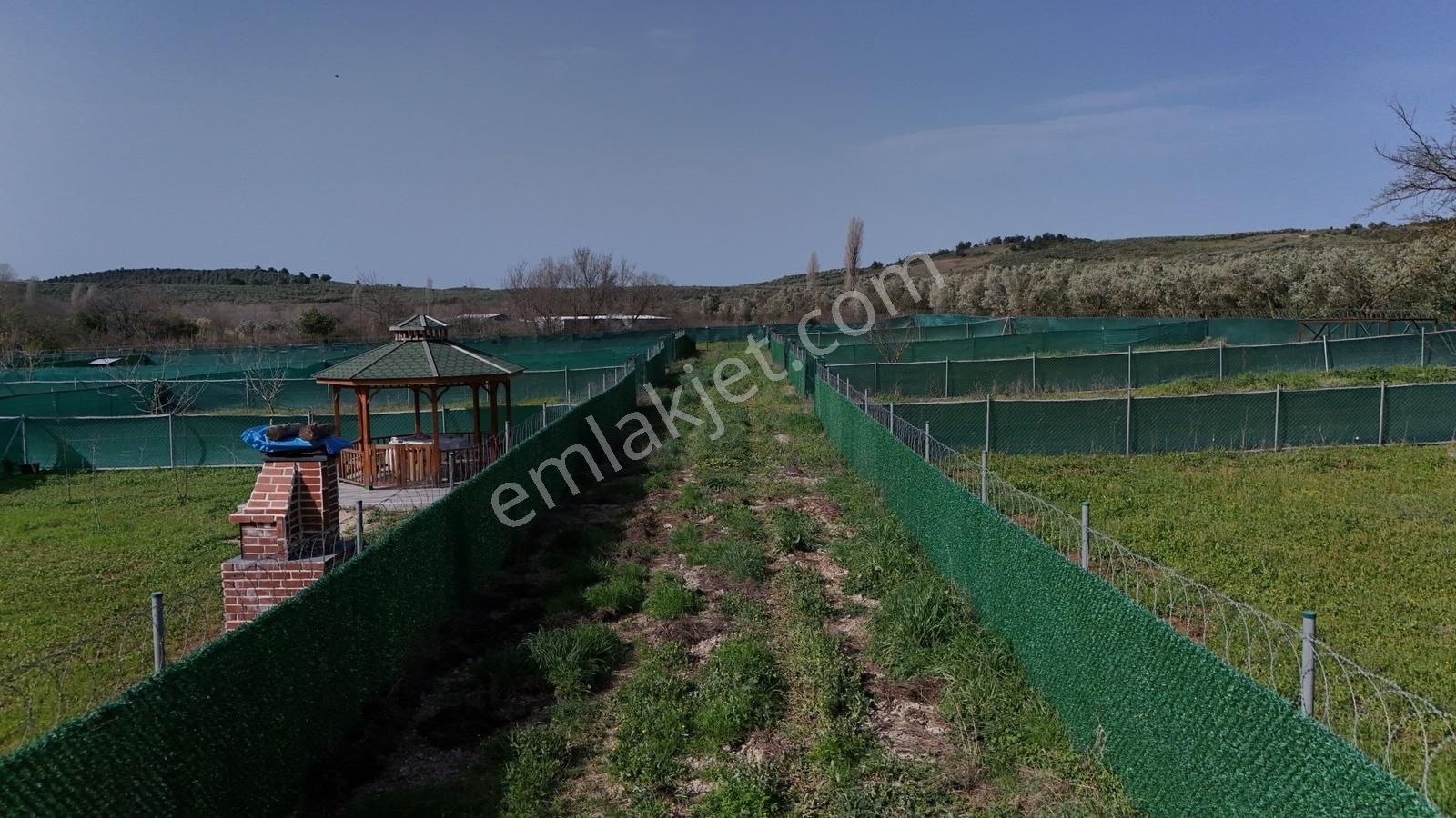 Mudanya Trilye De Satılık Bahçeler - Görsel 17