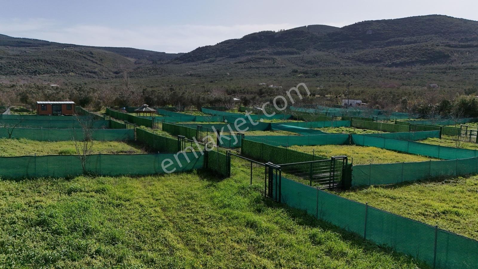 Mudanya Trilye De Satılık Bahçeler - Görsel 15