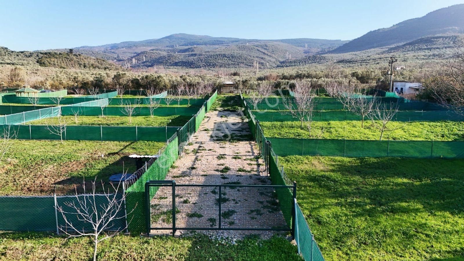 Mudanya Trilye De Satılık Bahçeler - Görsel 5