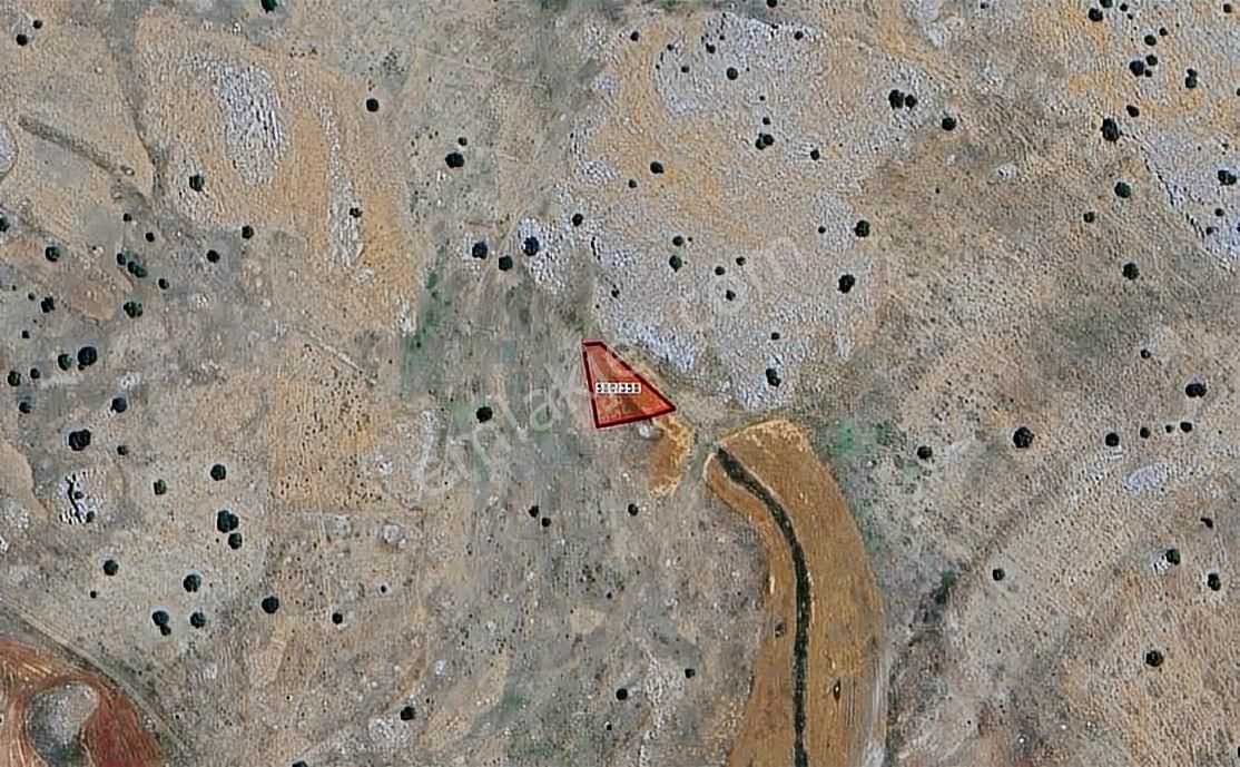 Antalya Korkuteli Taşkesiği Telefon Parasına Tarla - Görsel 2