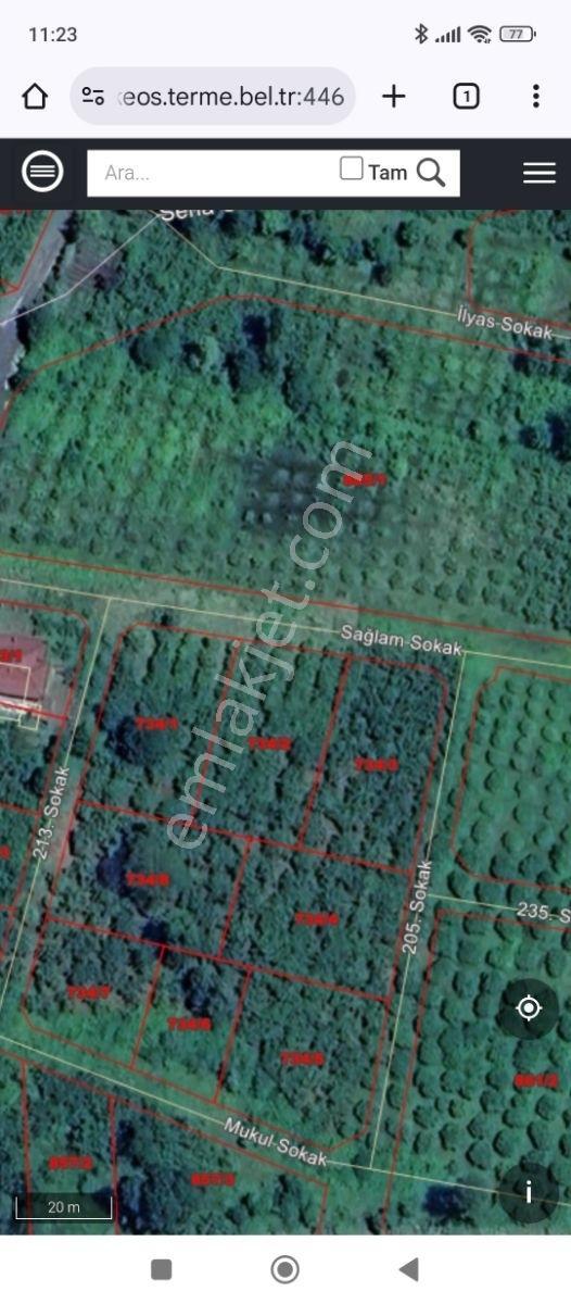 Yunus Çelebi Den Terme De Konut İmarlı Köşe Parsel - Görsel 18