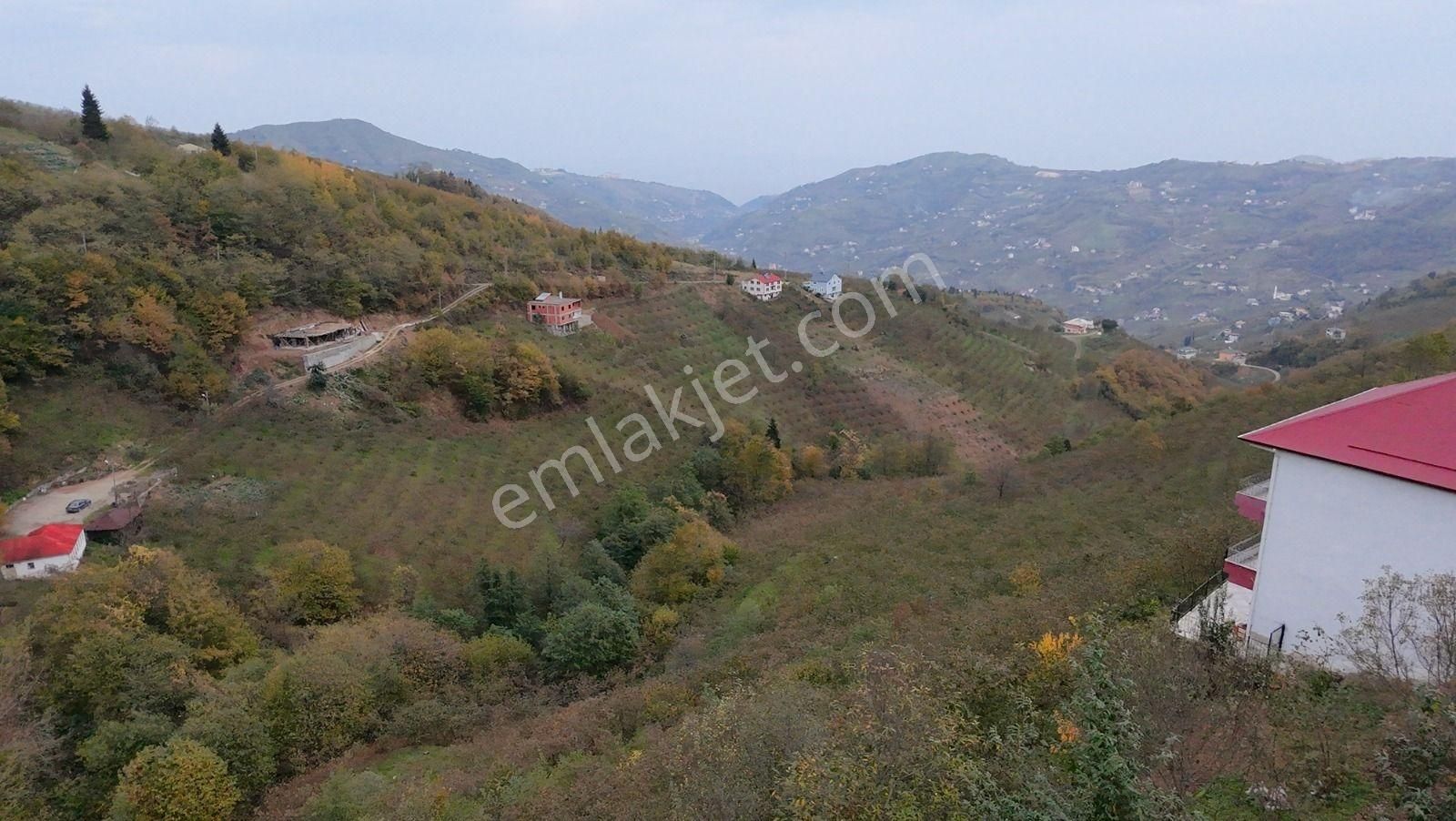 Akçabaat Derecik'te 6 Dönüm Arsa İçinde Müstakil Ev - Görsel 19