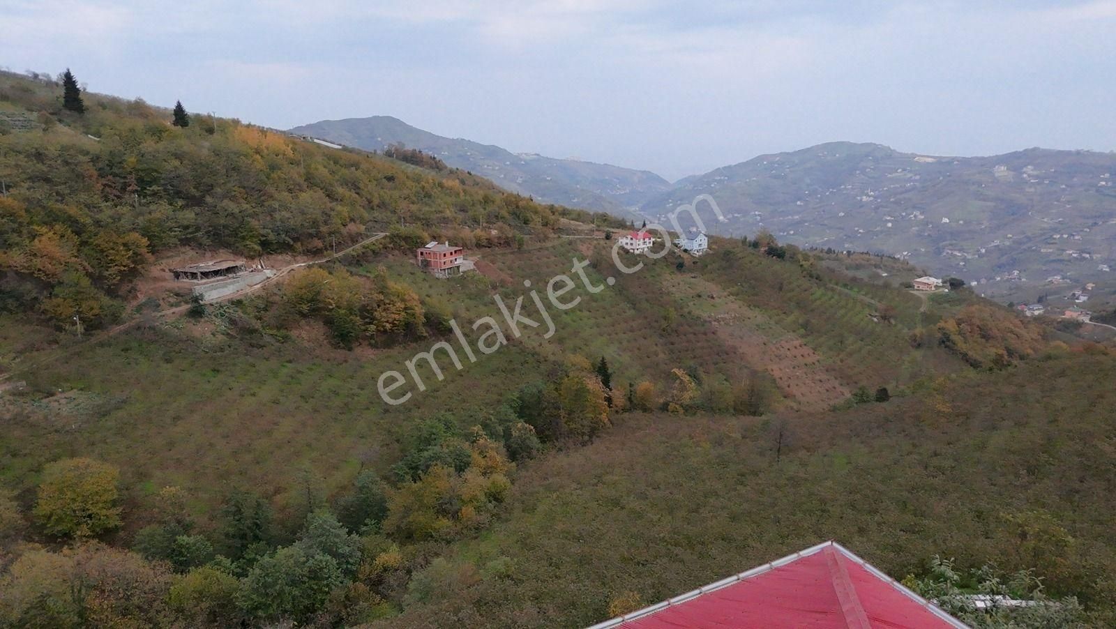 Akçabaat Derecik'te 6 Dönüm Arsa İçinde Müstakil Ev - Görsel 23