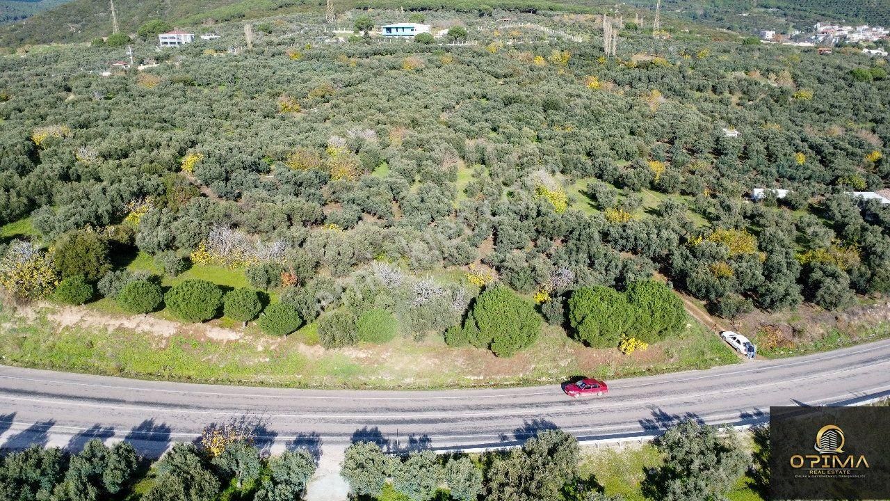 Opıma Emlaktan Çeltikçide Ana Caddeye Cephe Satılık Fırsat Zeytinlik - Görsel 4