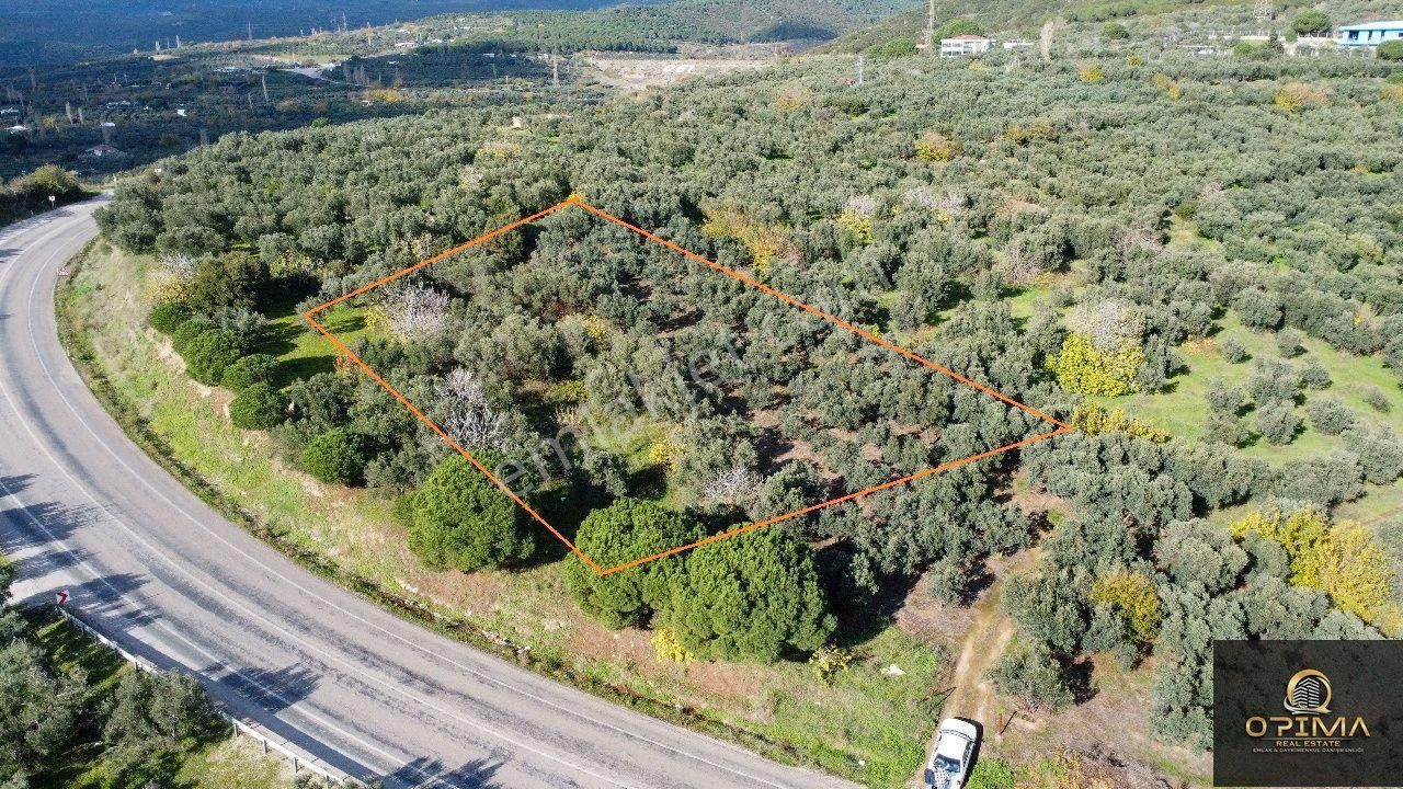 Opıma Emlaktan Çeltikçide Ana Caddeye Cephe Satılık Fırsat Zeytinlik