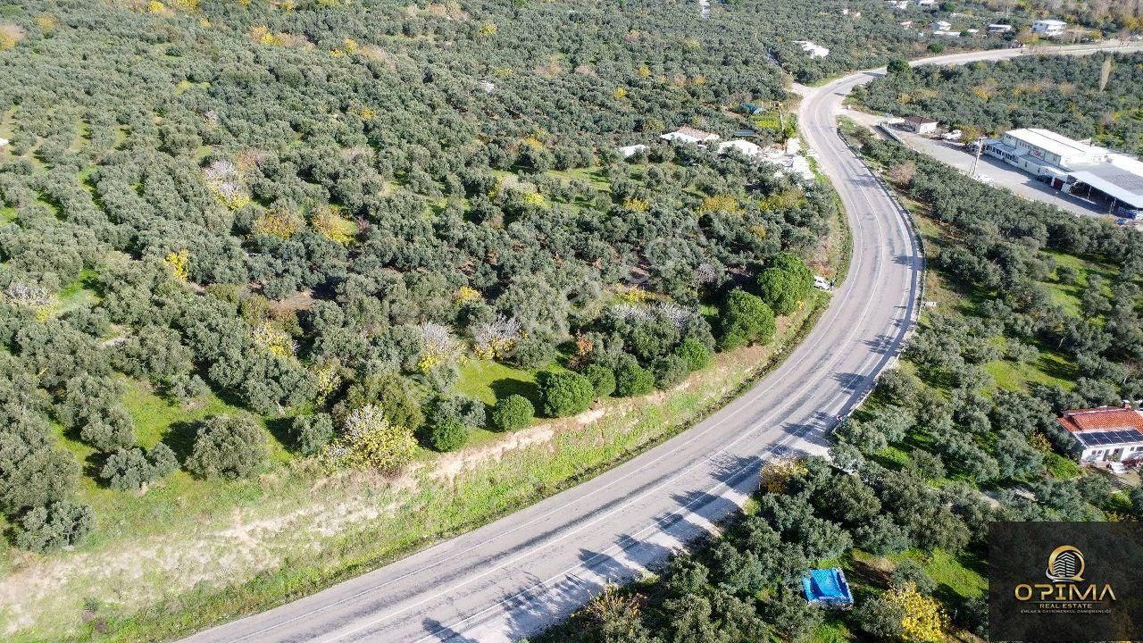 Opıma Emlaktan Çeltikçide Ana Caddeye Cephe Satılık Fırsat Zeytinlik - Görsel 7