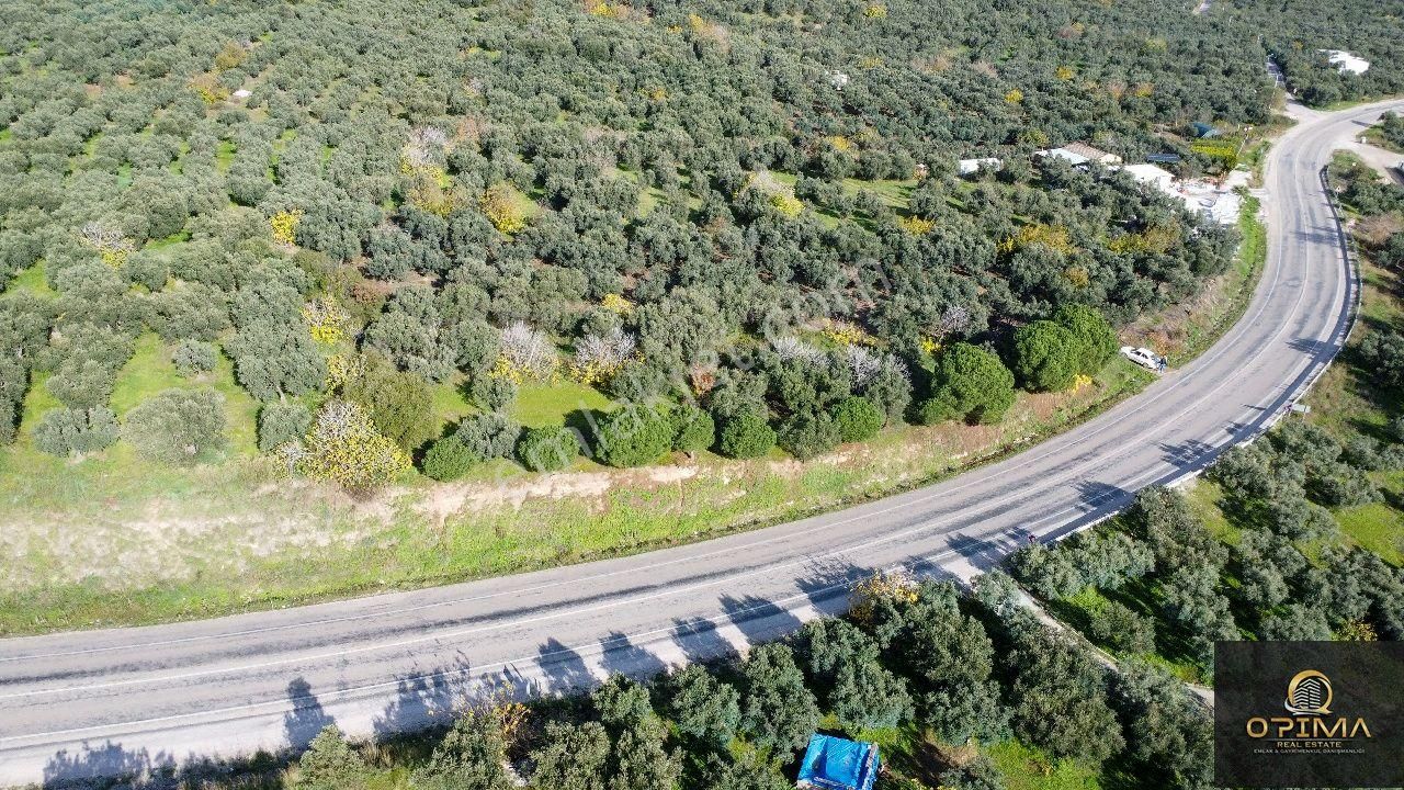 Opıma Emlaktan Çeltikçide Ana Caddeye Cephe Satılık Fırsat Zeytinlik - Görsel 6