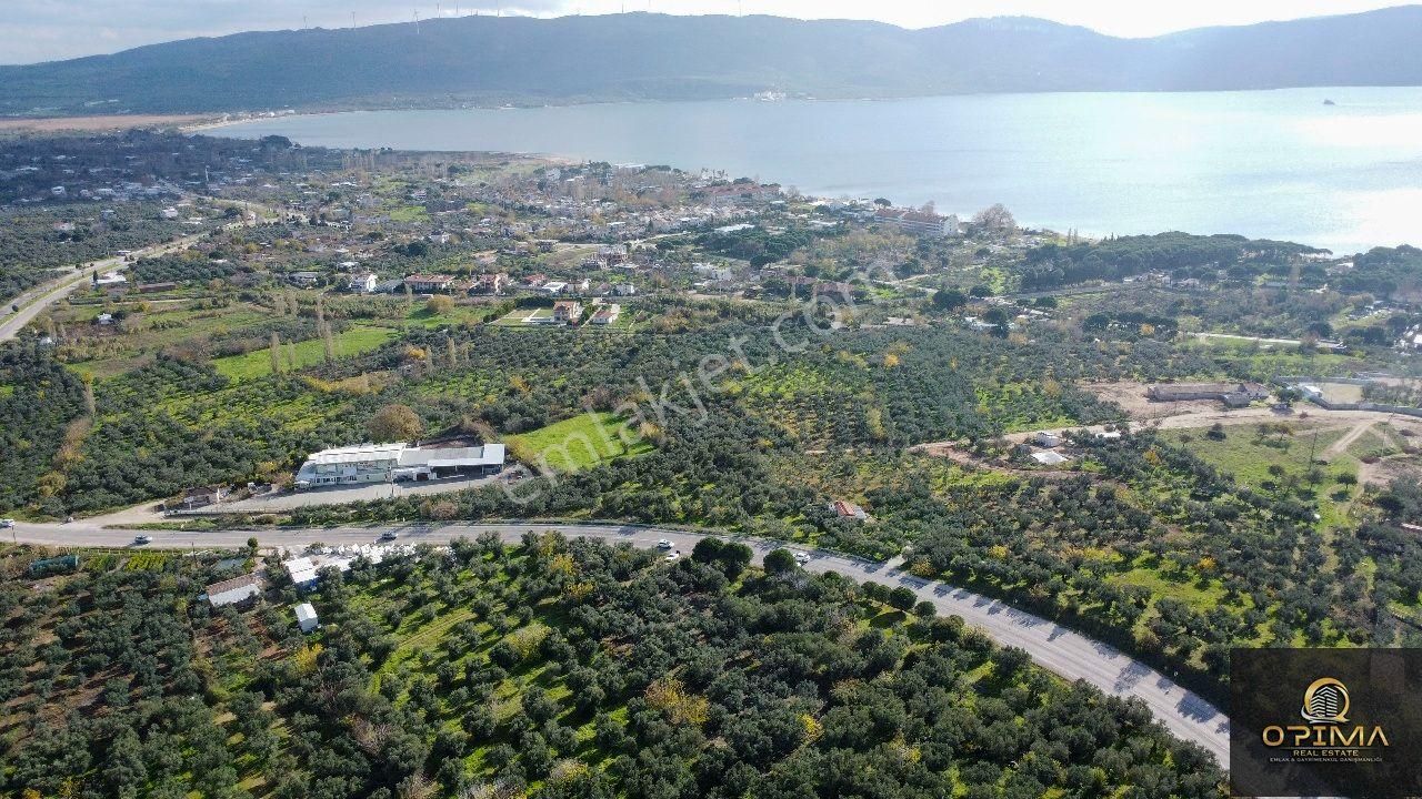 Opıma Emlaktan Çeltikçide Ana Caddeye Cephe Satılık Fırsat Zeytinlik - Görsel 14