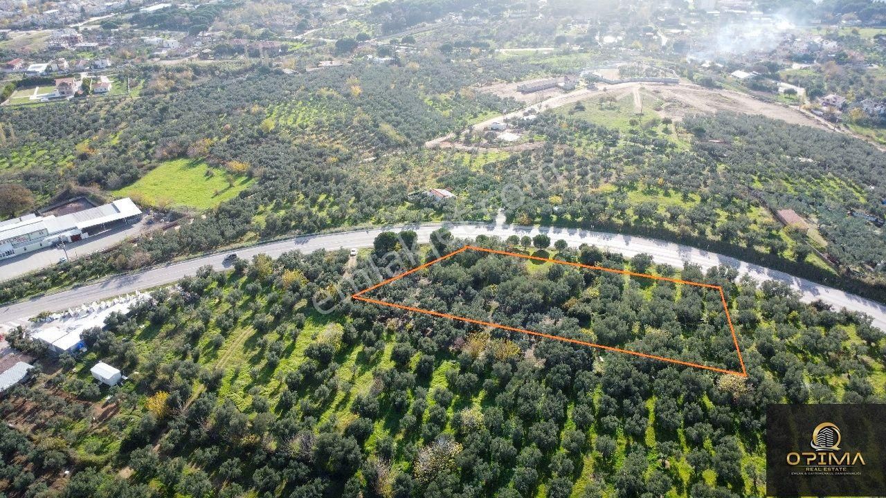 Opıma Emlaktan Çeltikçide Ana Caddeye Cephe Satılık Fırsat Zeytinlik - Görsel 16