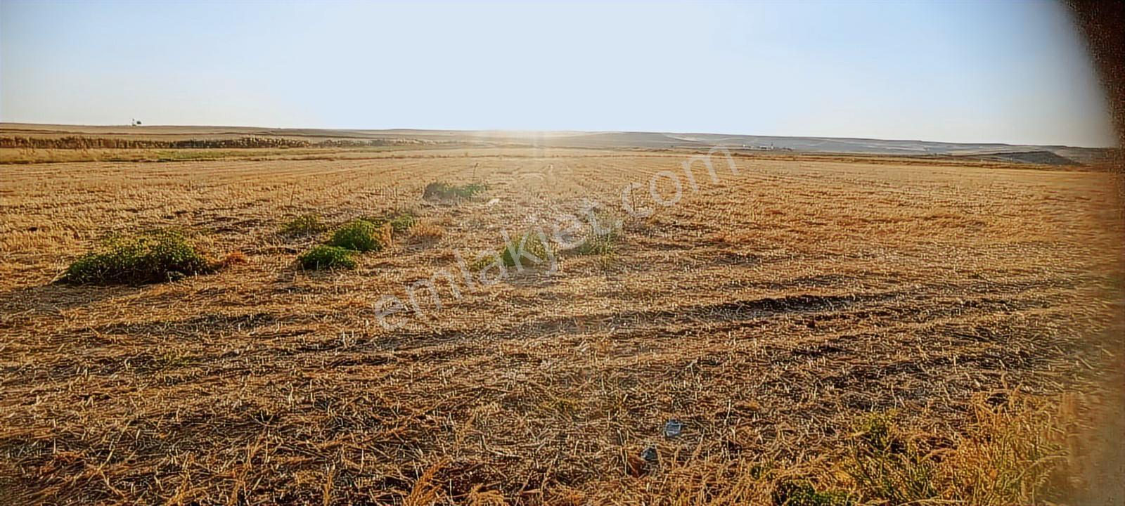 Expert'ten Diyarbakır Bismil'de Satılık 88259 M² Tarla - Görsel 6