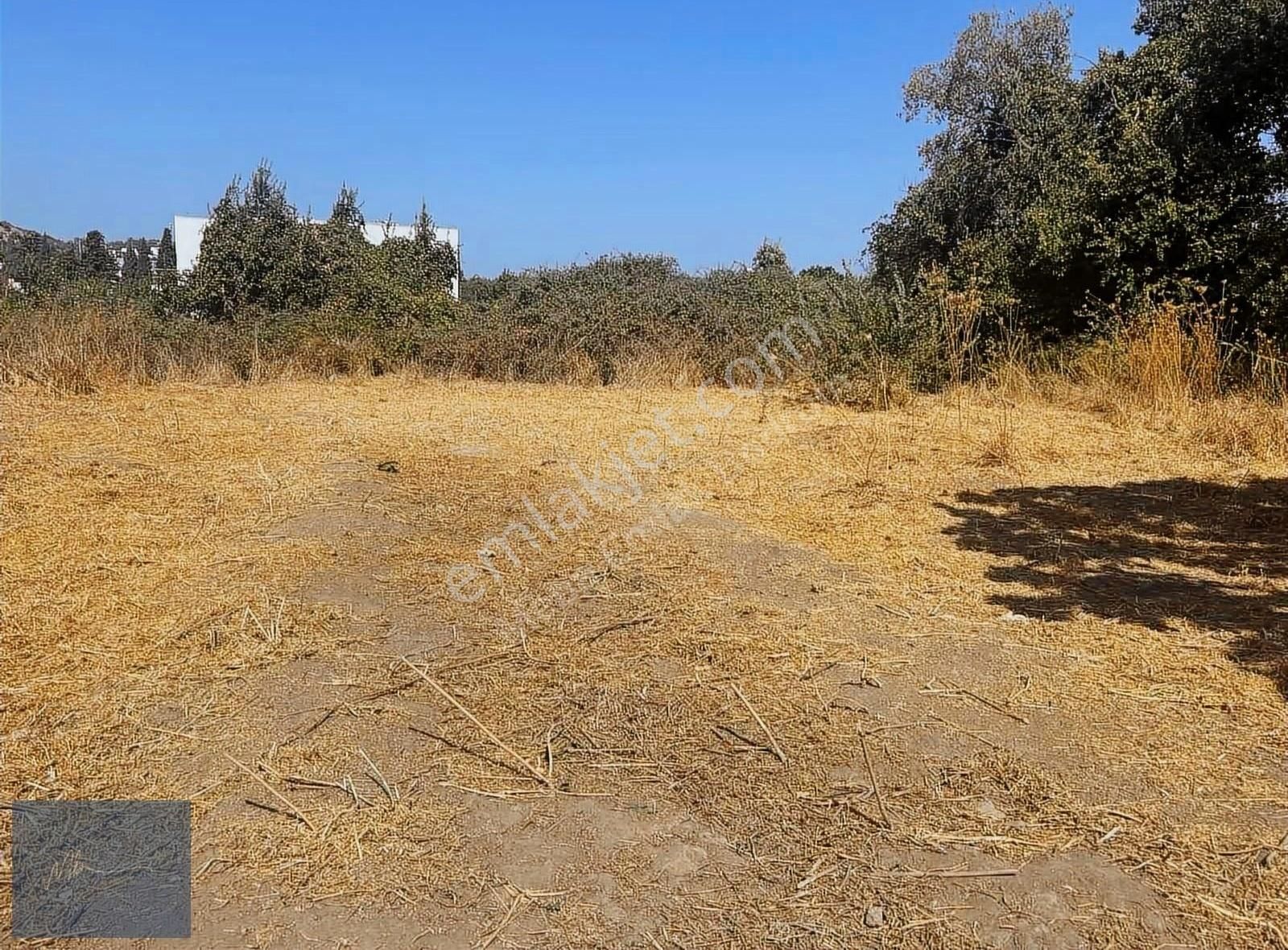 Türkbükü Merkezi Konumda Satılık %20 İmarlı Arsa - Görsel 5