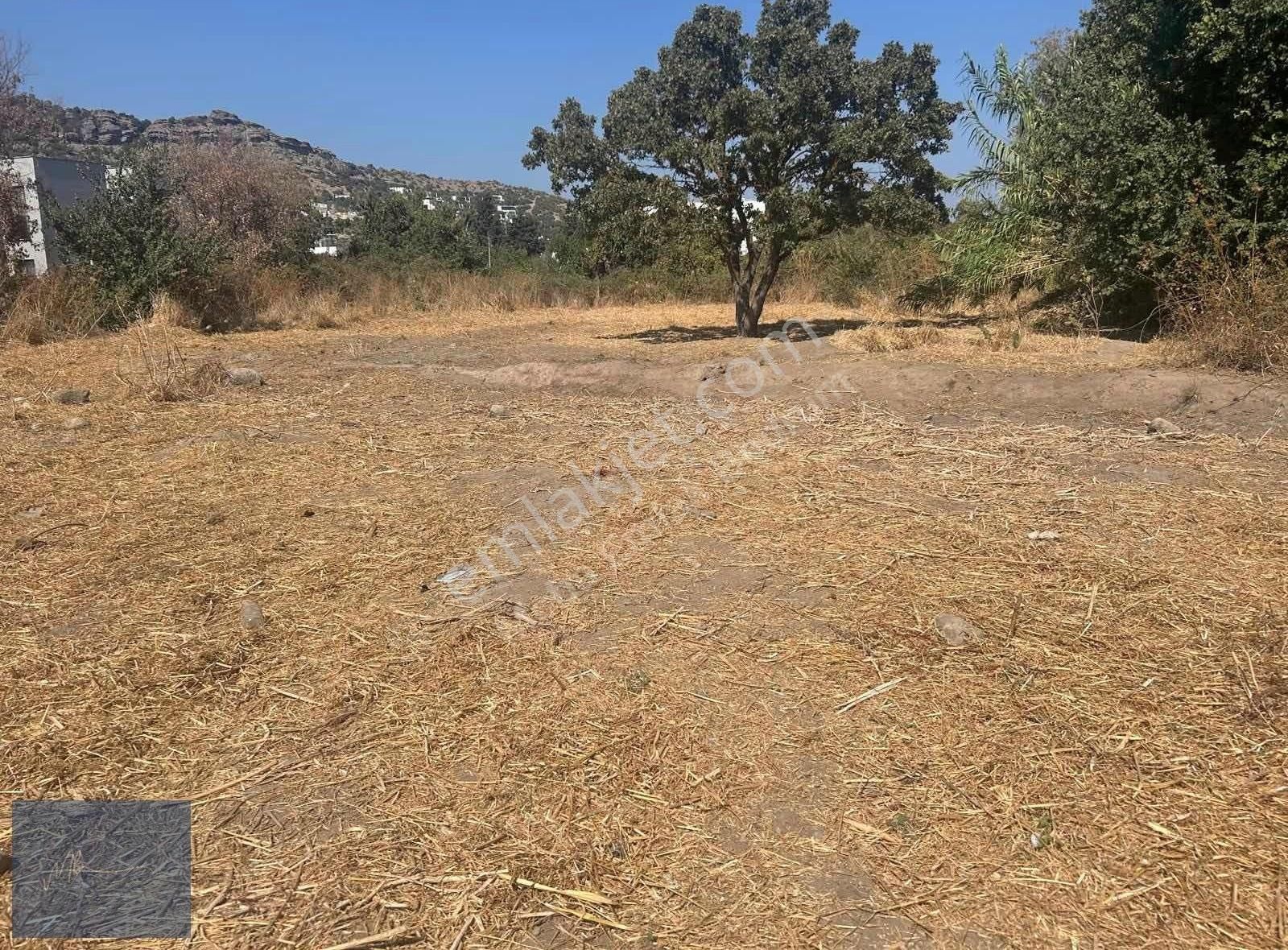 Türkbükü Merkezi Konumda Satılık %20 İmarlı Arsa