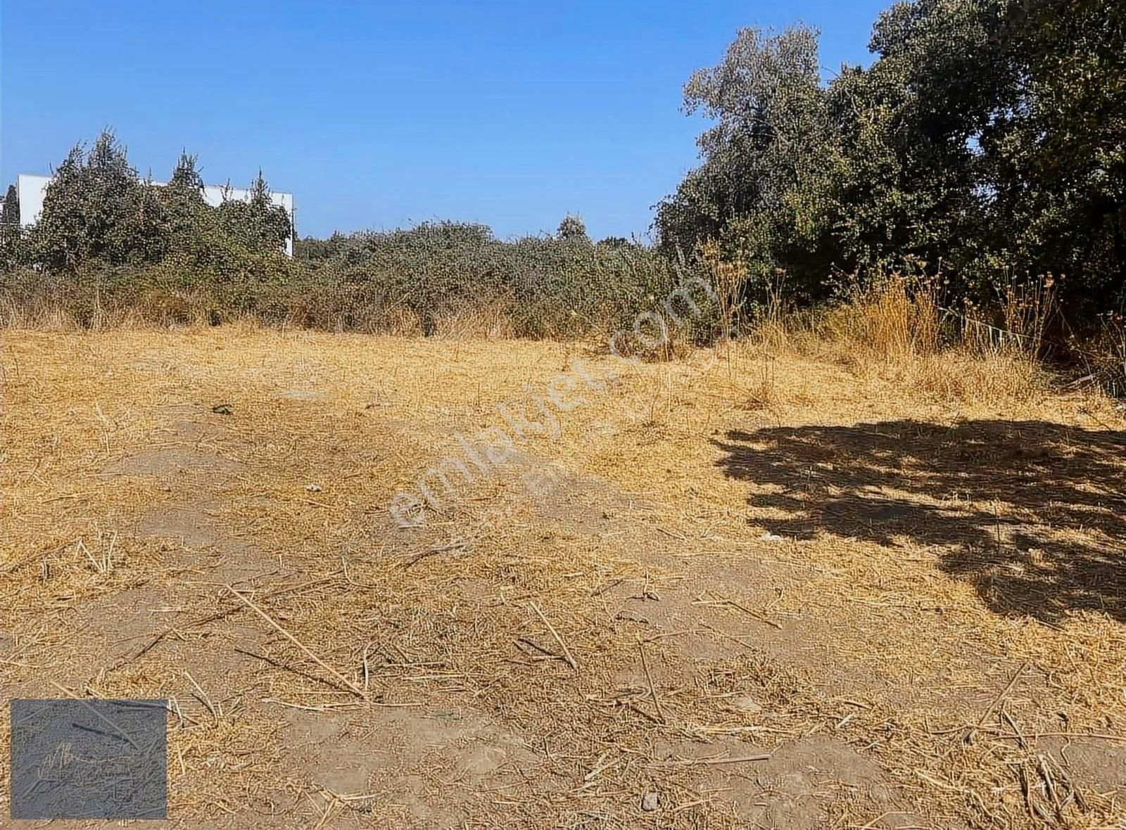 Türkbükü Merkezi Konumda Satılık %20 İmarlı Arsa - Görsel 2