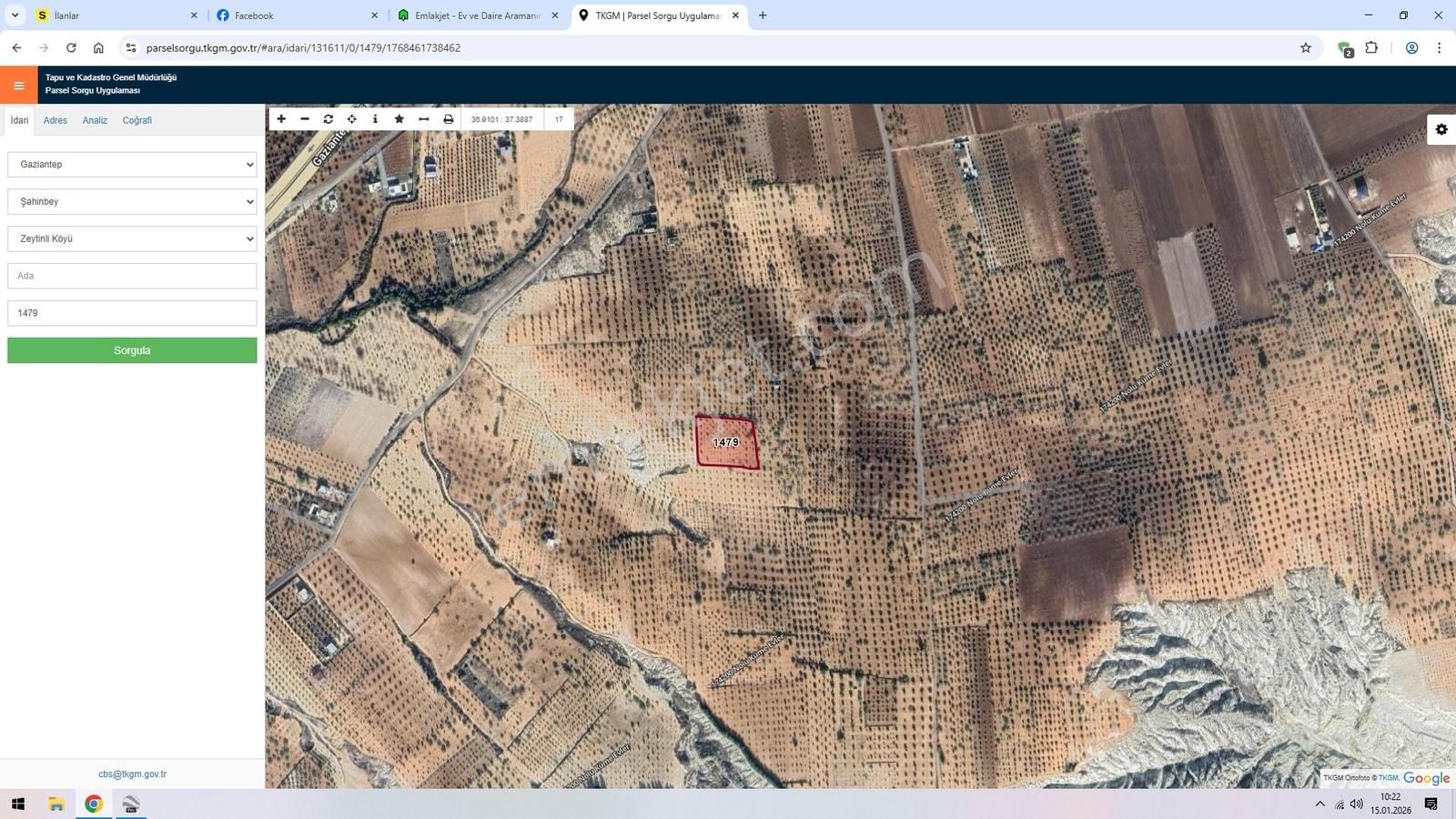 Aşina'dan Zeytinlide Satılık 4400 M2 Zeytin Ve Fıstık