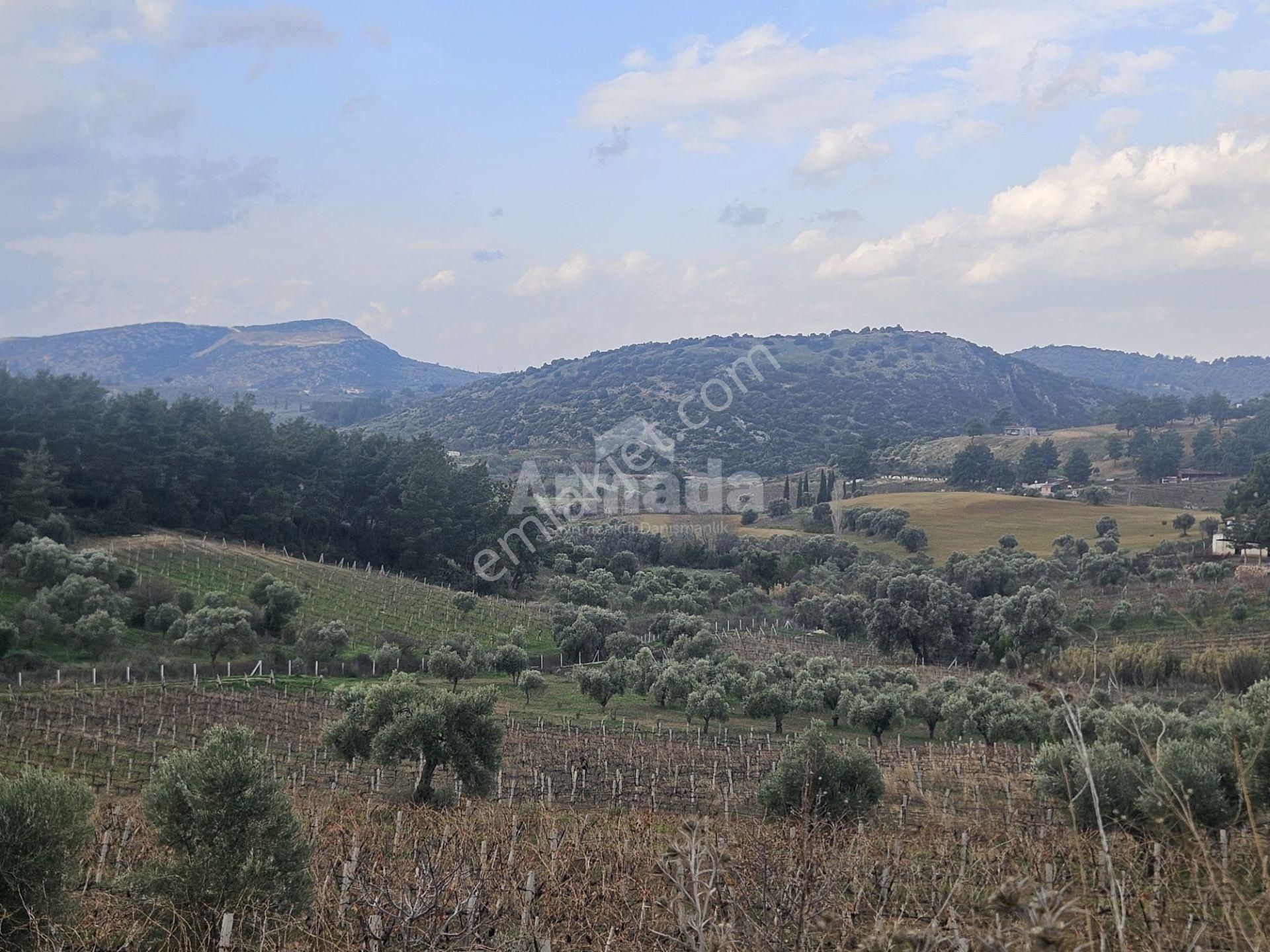 Kuşadası Kirazlı'da Satılık Tek Tapu Tarla