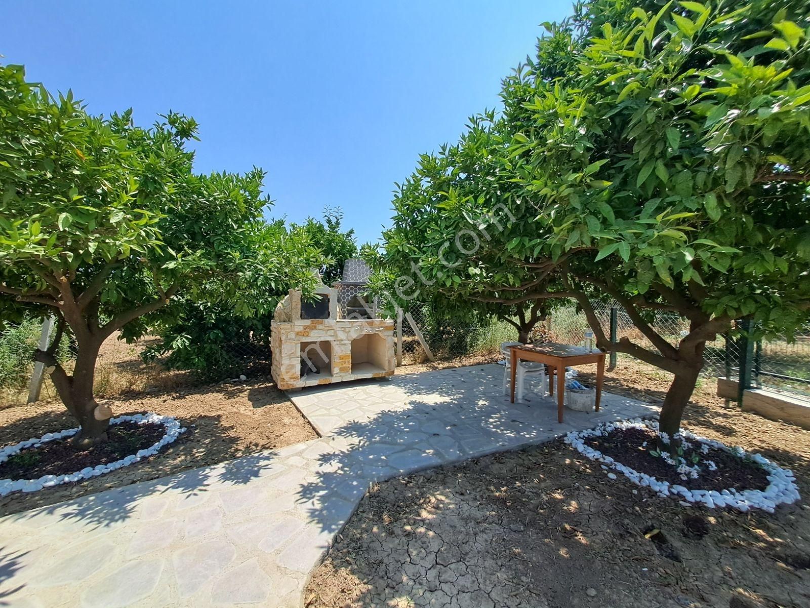 Gümüldür Merkezde Konteyner Evi Olan Bahçe - Görsel 6