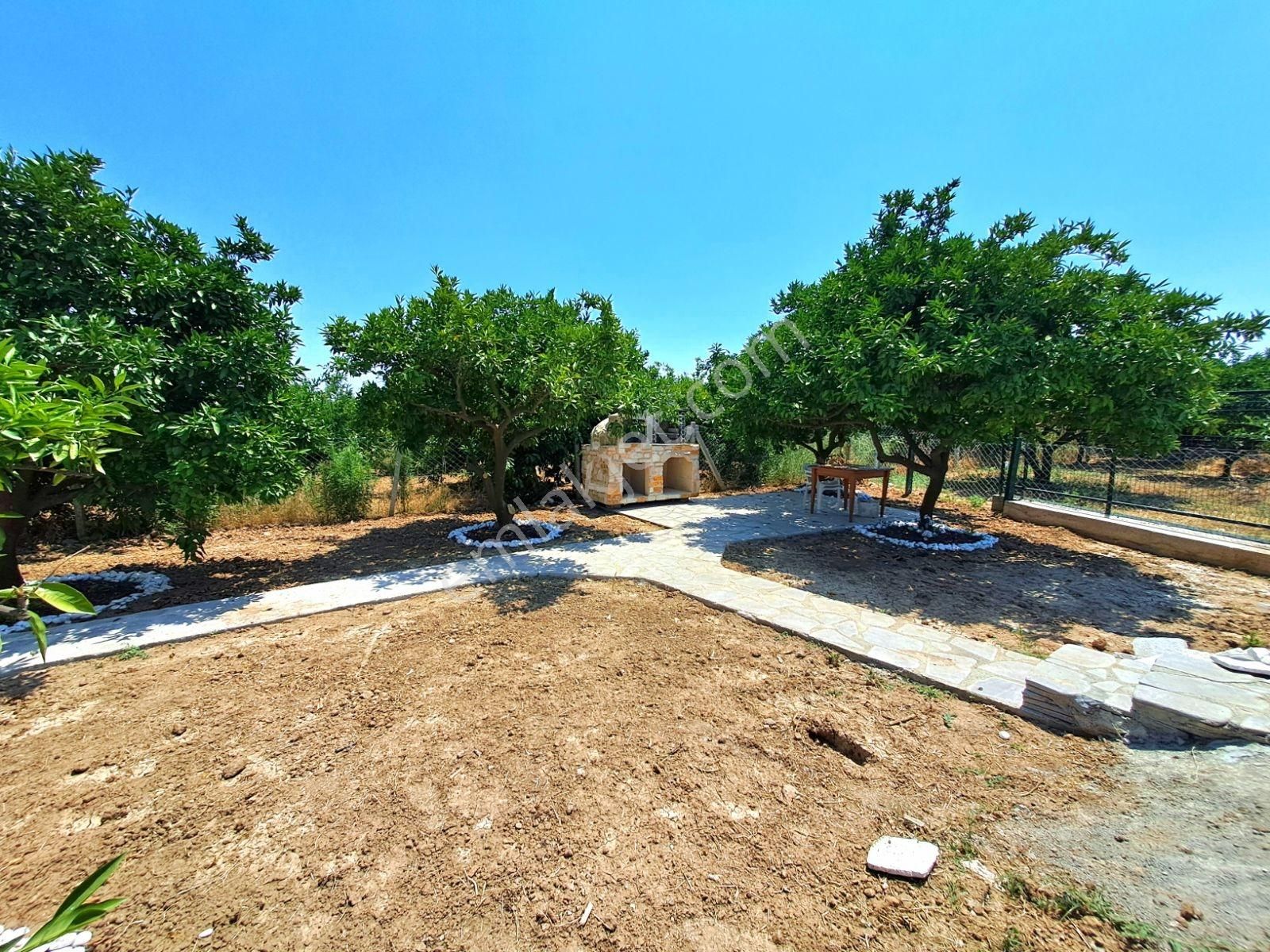 Gümüldür Merkezde Konteyner Evi Olan Bahçe - Görsel 6