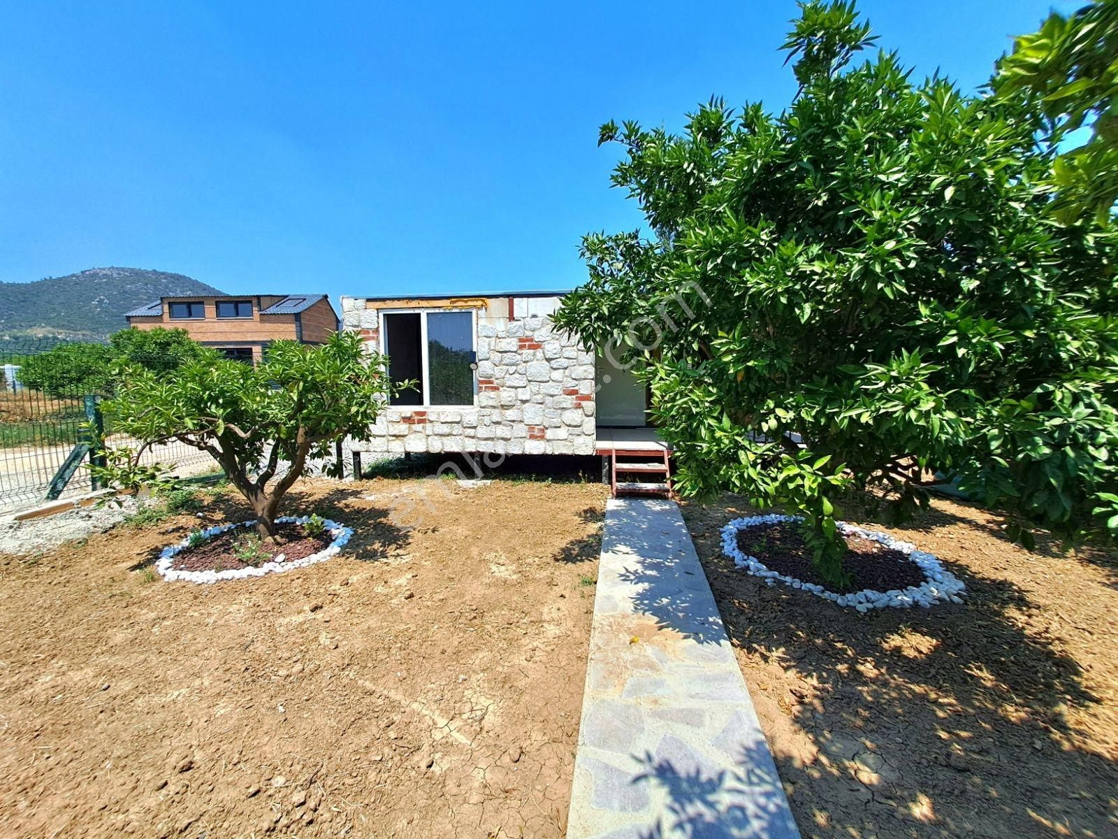 Gümüldür Merkezde Konteyner Evi Olan Bahçe