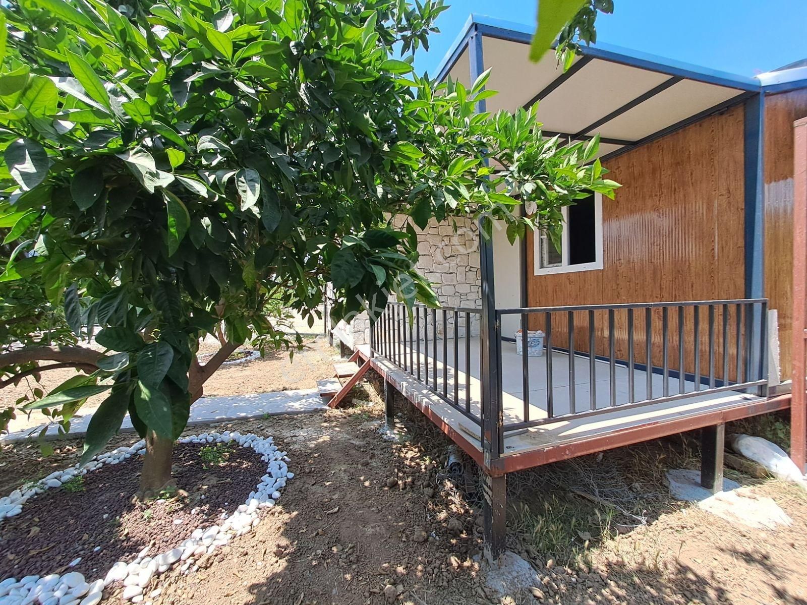 Gümüldür Merkezde Konteyner Evi Olan Bahçe - Görsel 3