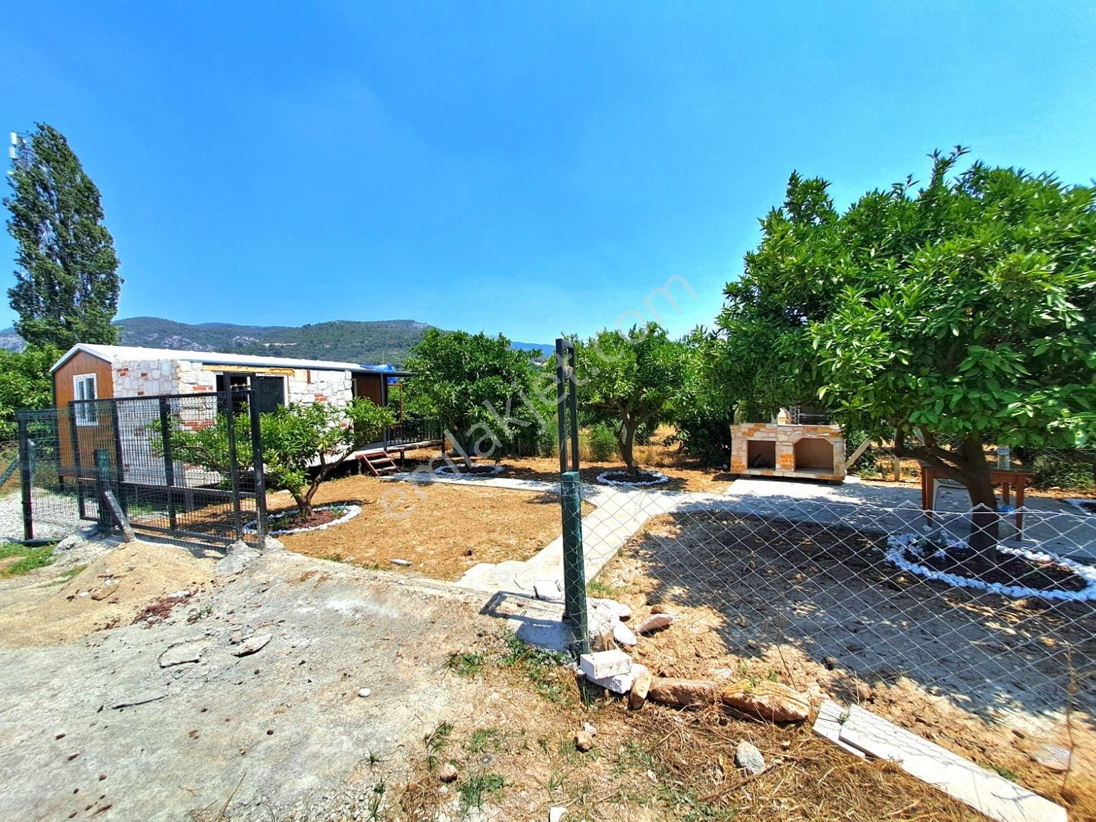 Gümüldür Merkezde Konteyner Evi Olan Bahçe - Görsel 7