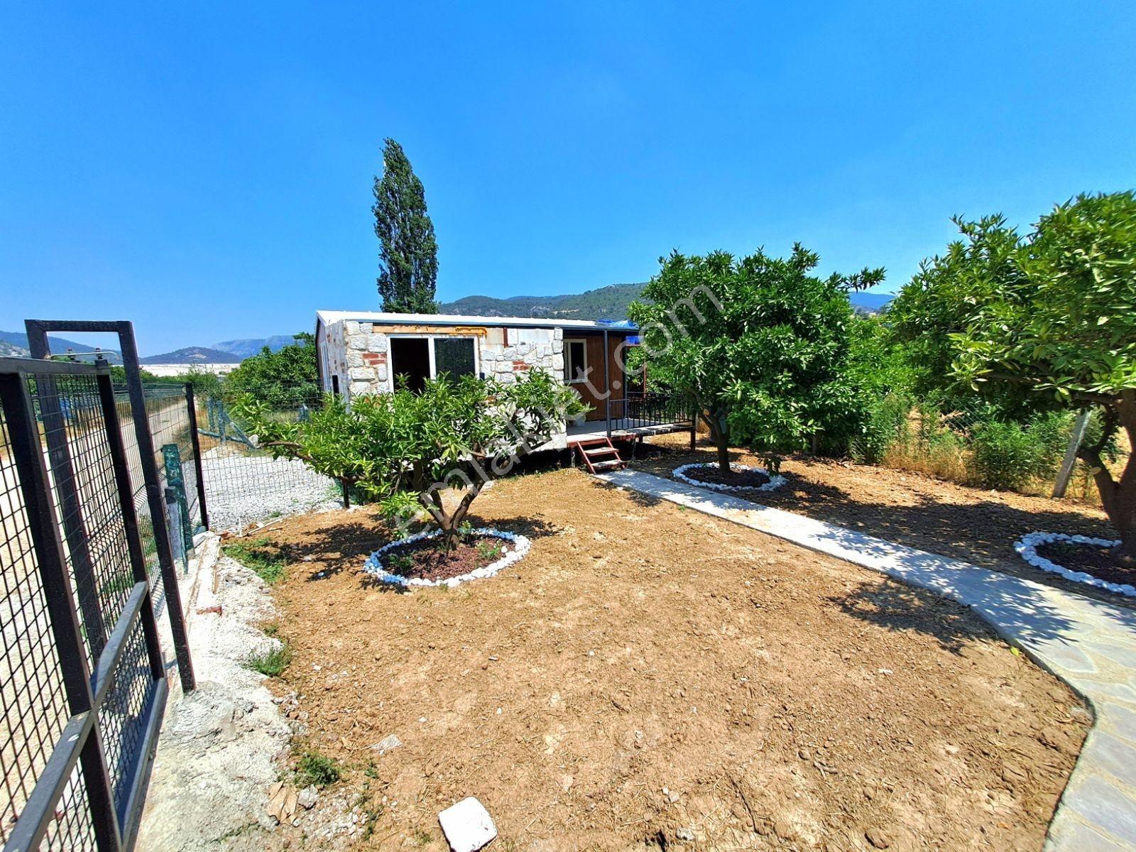 Gümüldür Merkezde Konteyner Evi Olan Bahçe - Görsel 5