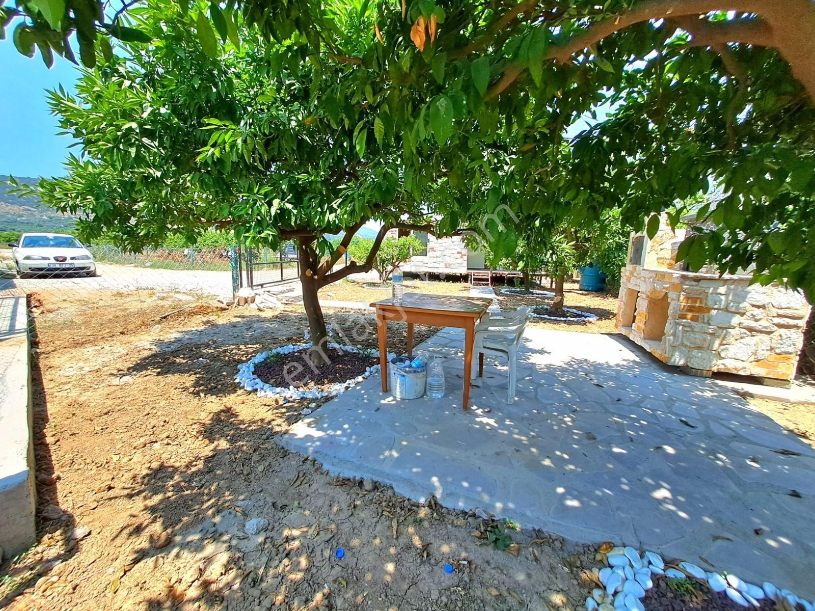 Gümüldür Merkezde Konteyner Evi Olan Bahçe - Görsel 7