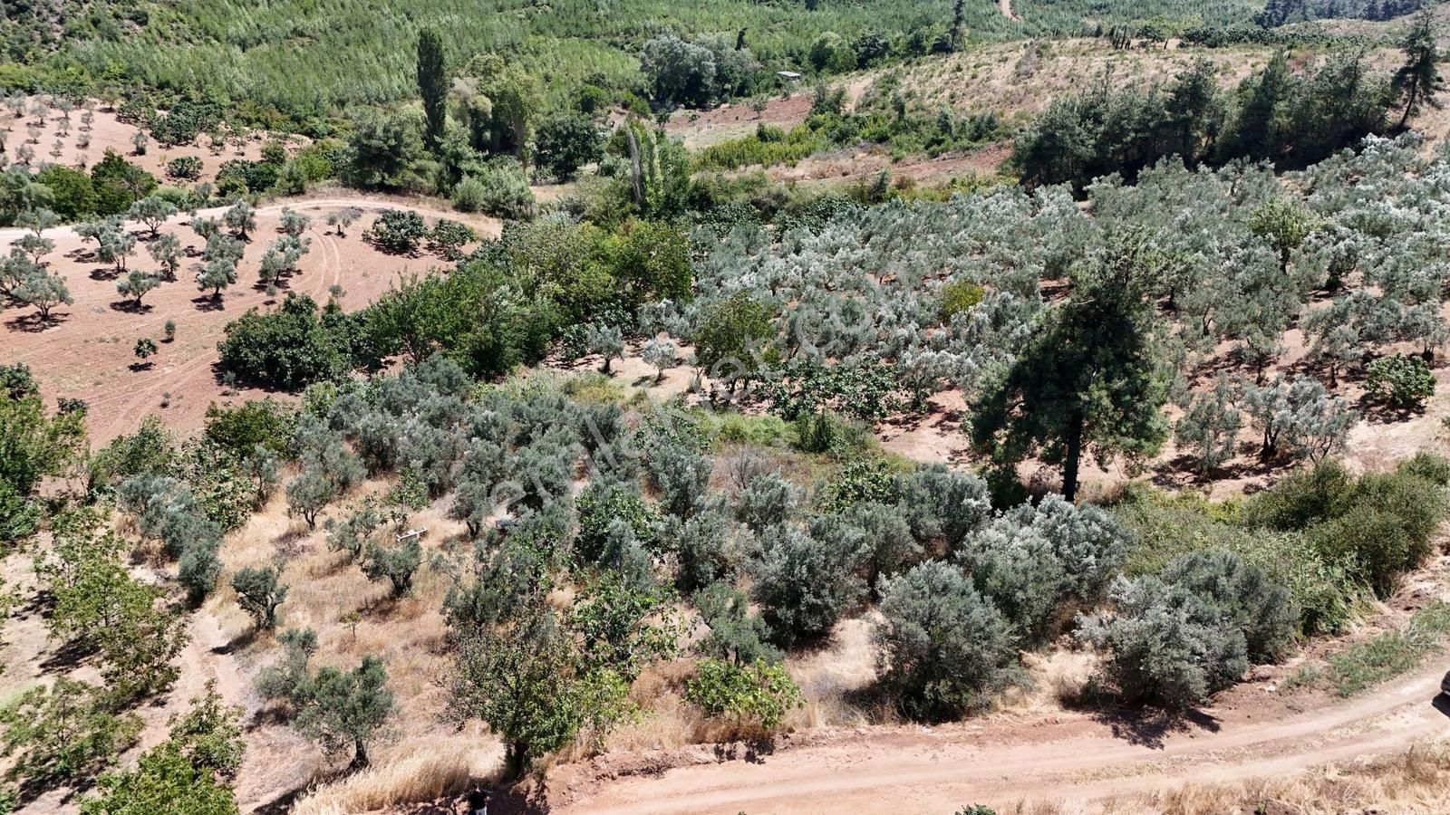 Bursa Osmangazi Gündoğdu Mah Resmi Yolu Olan Arazi - Görsel 16