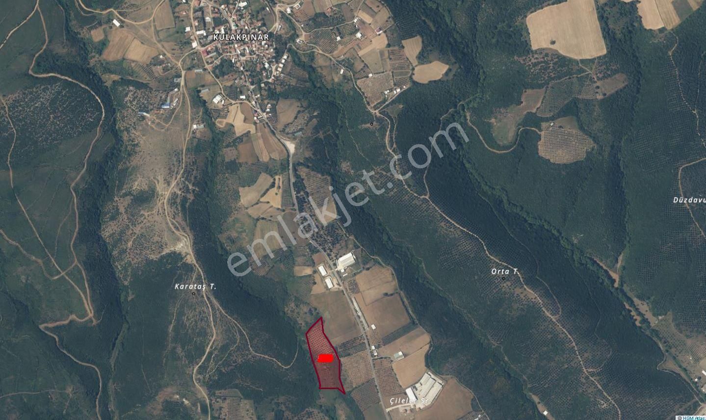 Karacabey Kulakpınar'da 20.000 M2 Satılık Arazi - Görsel 2