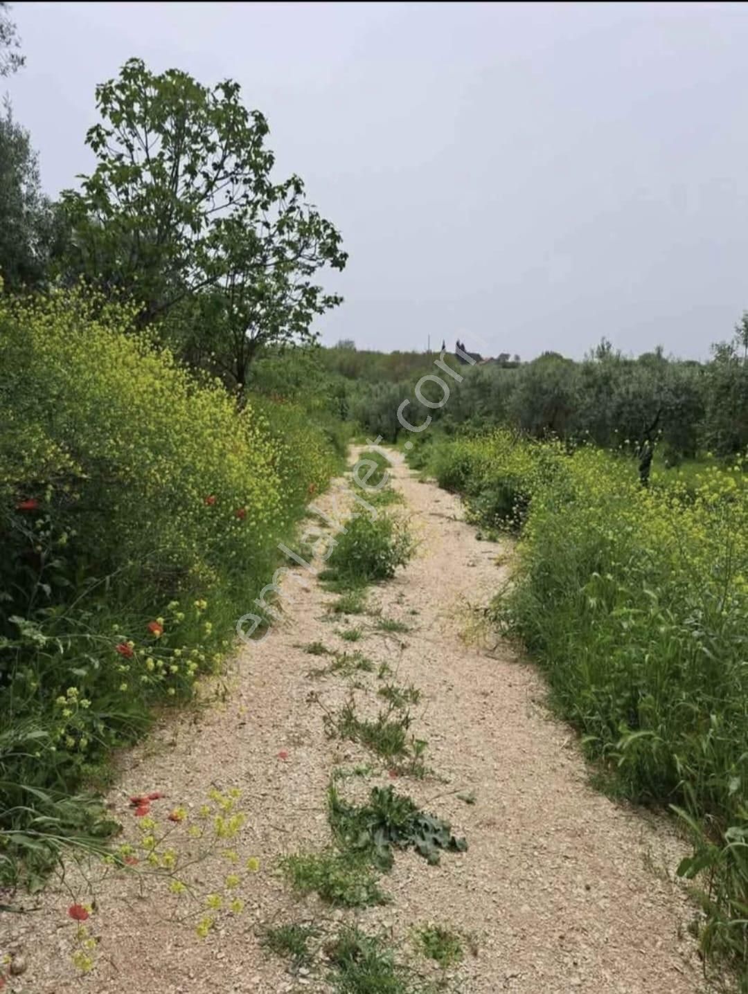 Karacabey Kulakpınar'da 20.000 M2 Satılık Arazi - Görsel 7