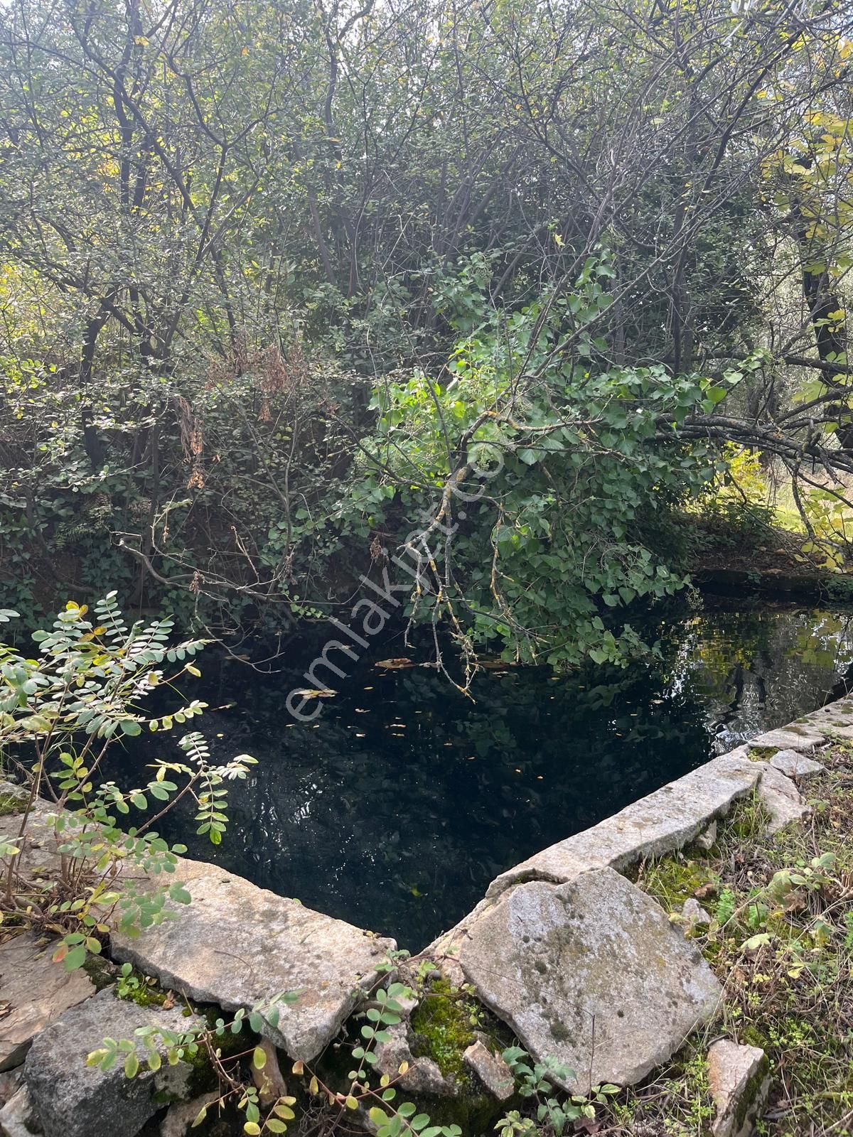 Karacabey Kulakpınar'da 20.000 M2 Satılık Arazi - Görsel 13