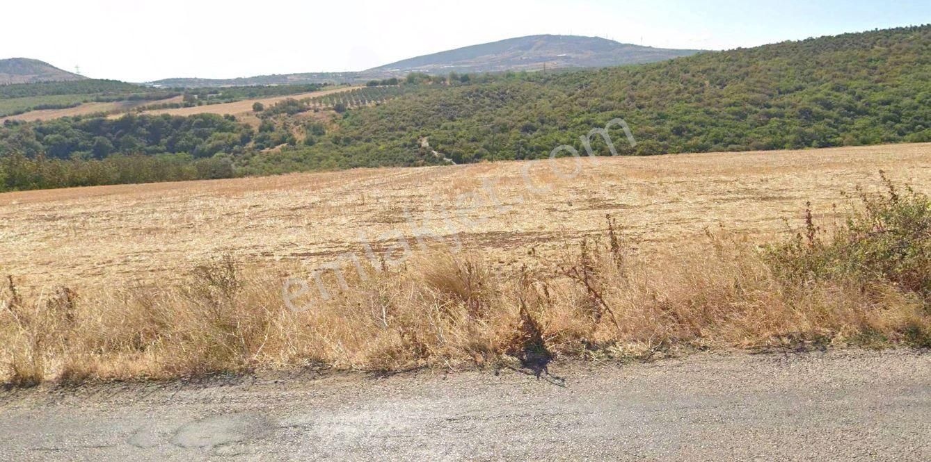 Karacabey Kulakpınar'da 20.000 M2 Satılık Arazi - Görsel 4
