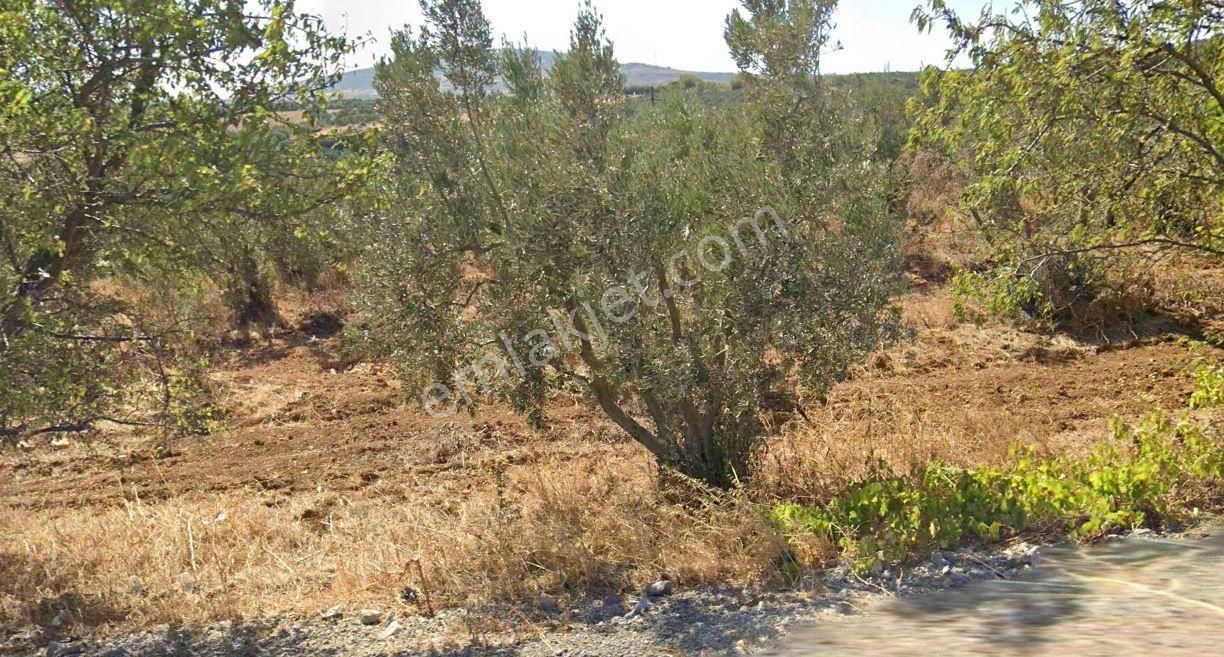 Karacabey Kulakpınar'da 20.000 M2 Satılık Arazi - Görsel 12