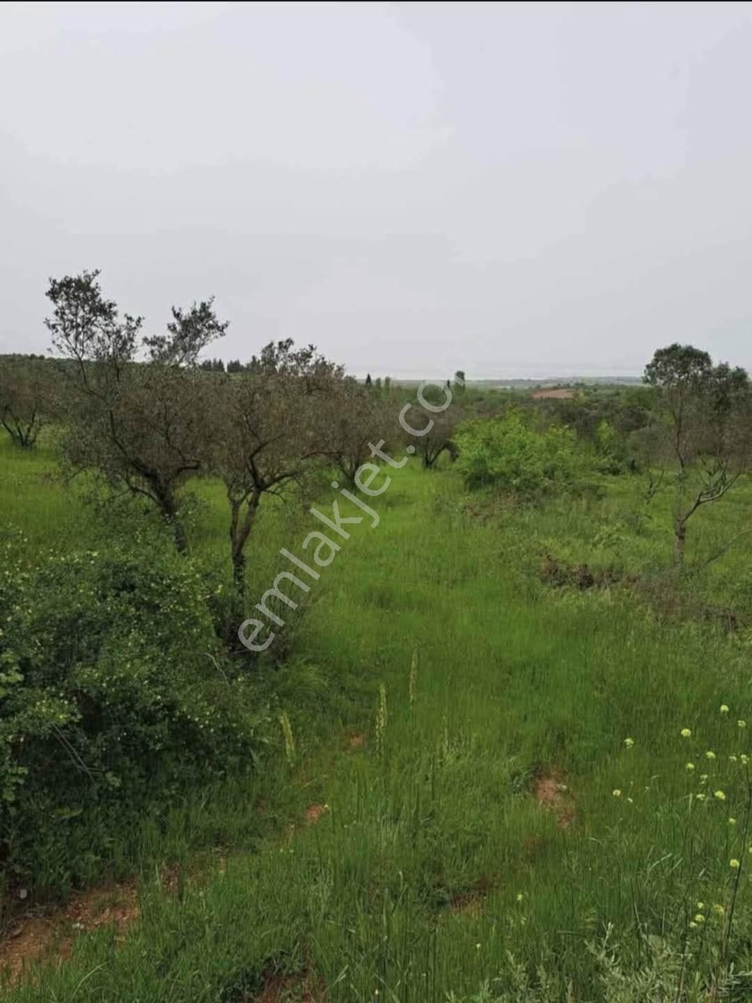 Karacabey Kulakpınar'da 20.000 M2 Satılık Arazi - Görsel 8